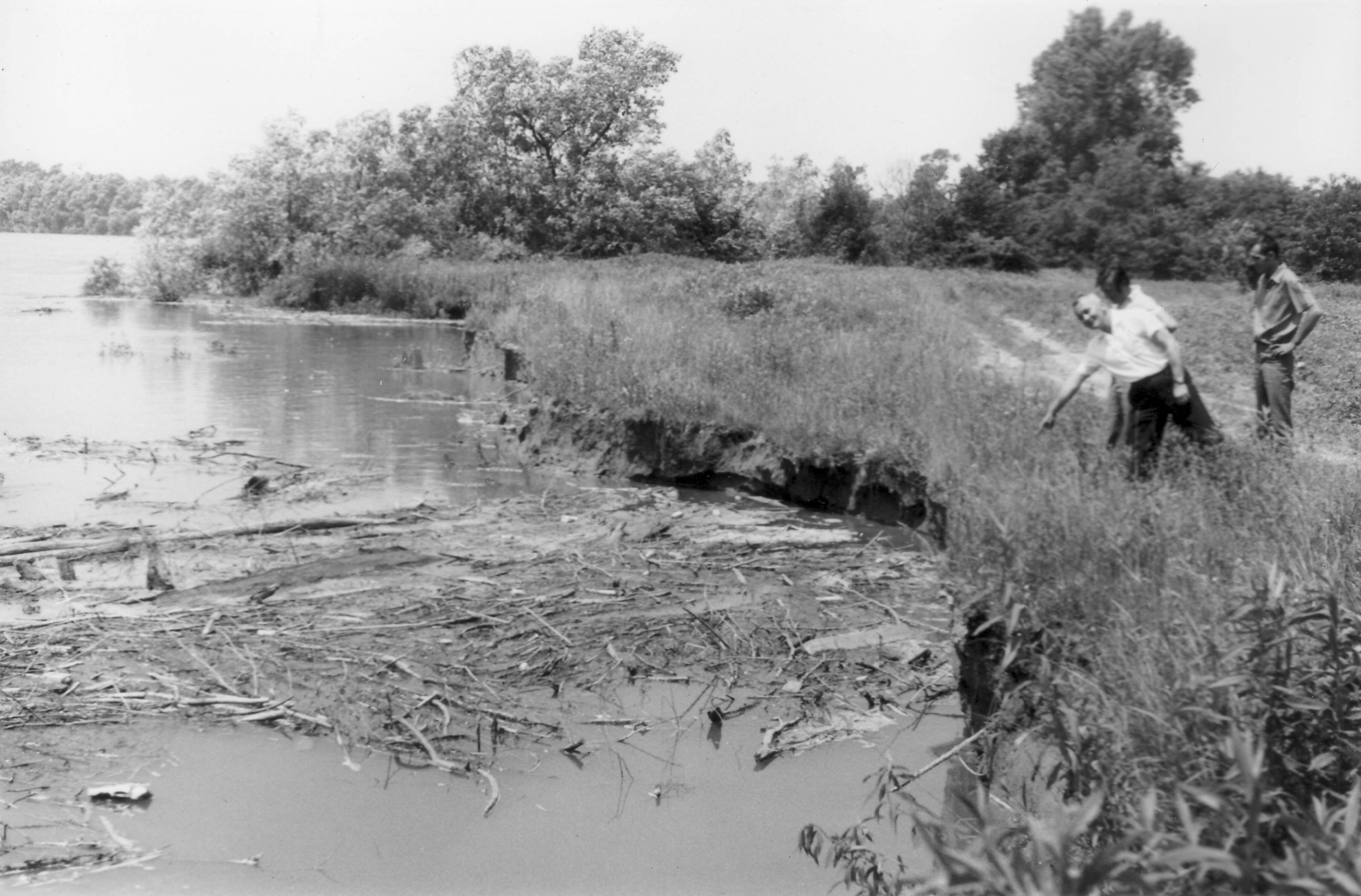 Drávai árvíz, 1972. június -Révfalu alatt (Magyar Környezetvédelmi és Vízügyi Múzeum - Duna Múzeum CC BY-NC-SA)