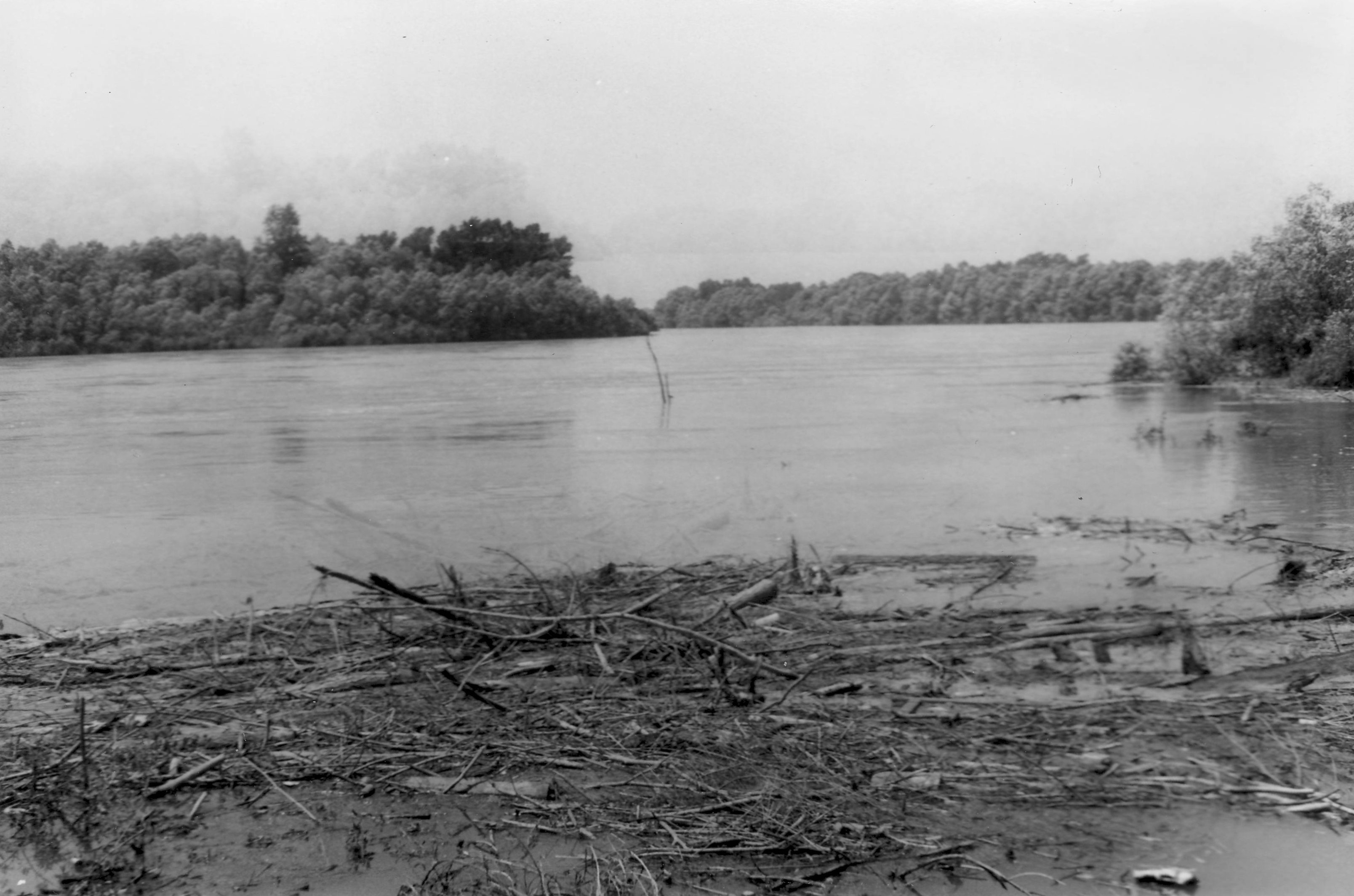 Drávai árvíz, 1972. június - Révfalu alatt (Magyar Környezetvédelmi és Vízügyi Múzeum - Duna Múzeum CC BY-NC-SA)