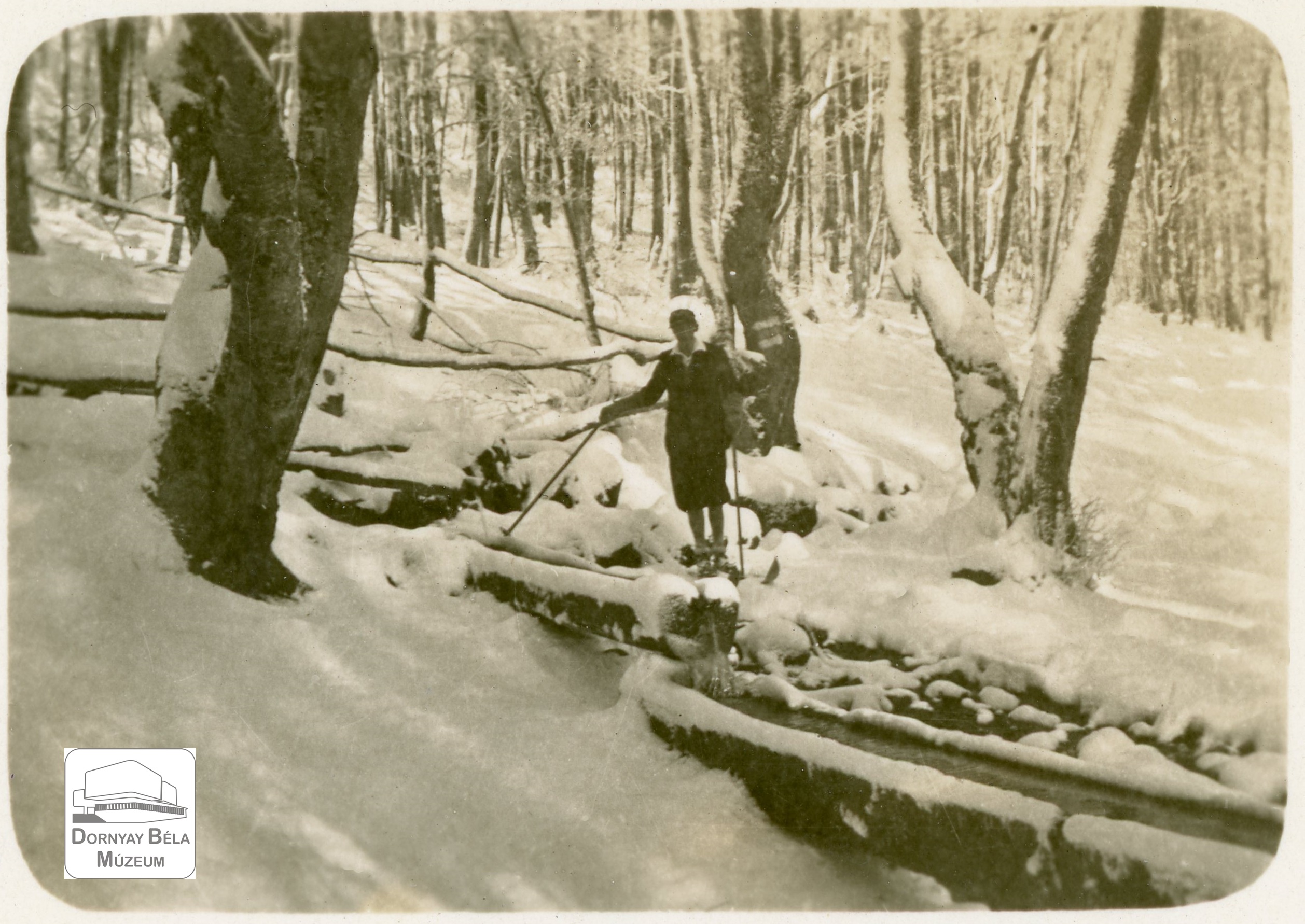 Téli erdő, forrás, mellette egy turista alakja túrabotokkal.  Dr. Dornyay Béla gyűjteményéből. (Dornyay Béla Múzeum, Salgótarján CC BY-NC-SA)