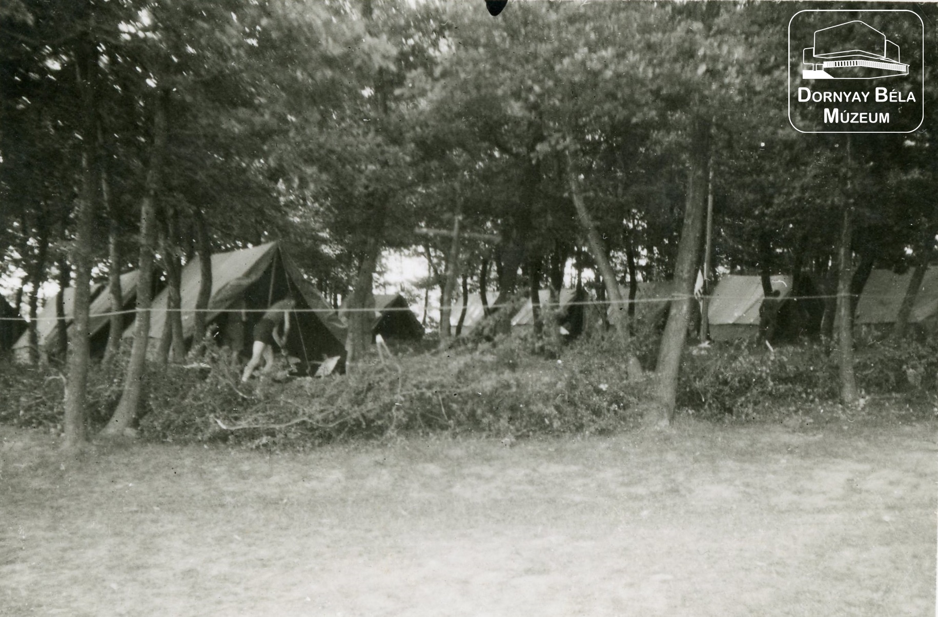 A Hármashatár-hegyi cserkész repülőtábor felállított sátrai. (Dornyay Béla Múzeum, Salgótarján CC BY-NC-SA)