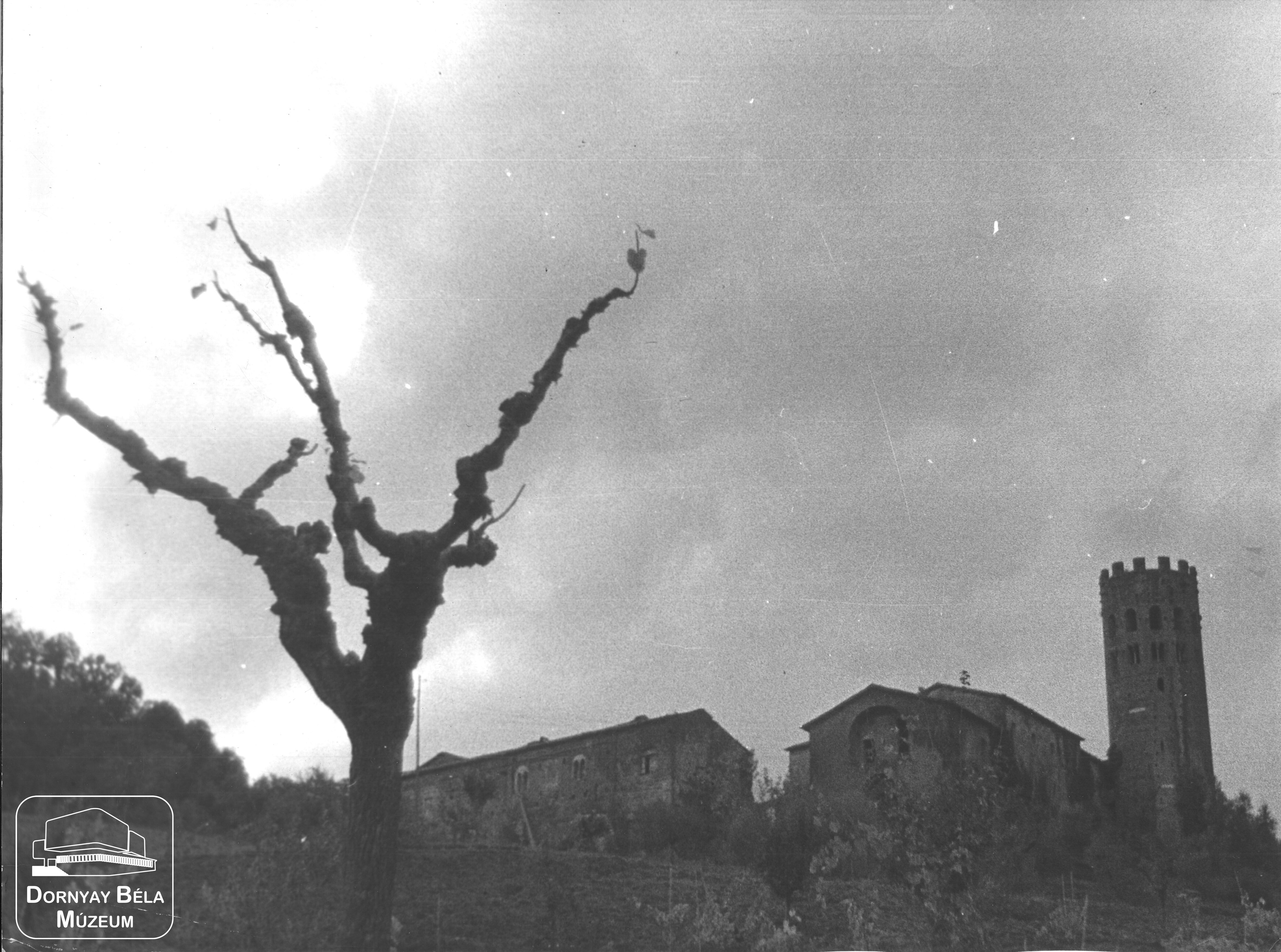 "Kiszáradt fa" (Dornyay Béla Múzeum, Salgótarján CC BY-NC-SA)