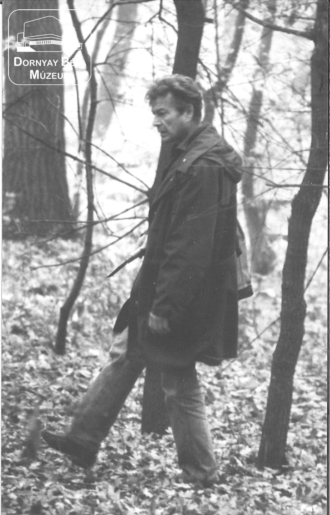 Pillanatkép - Gaál István az erdőben (Dornyay Béla Múzeum, Salgótarján CC BY-NC-SA)