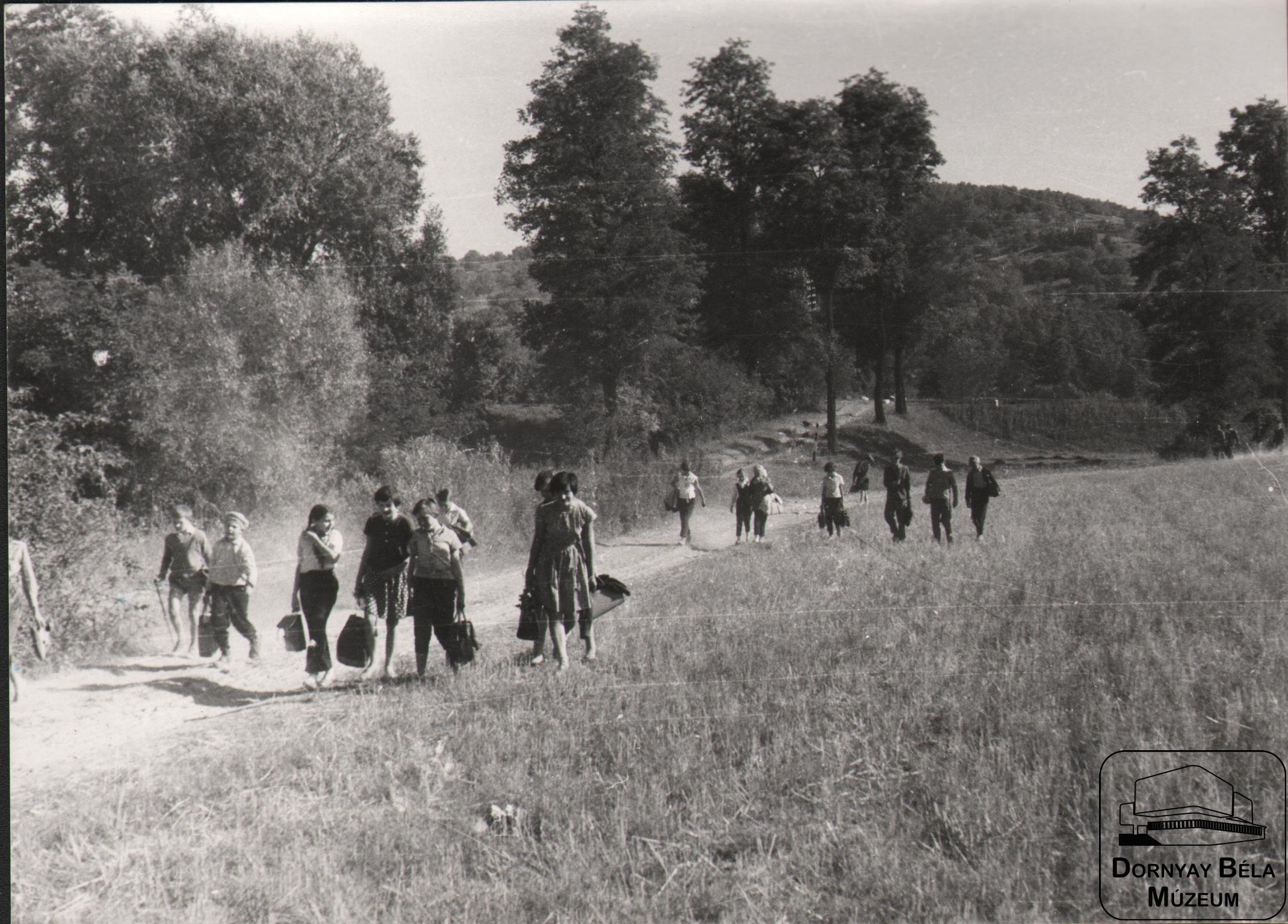 Nógrádi úttörők kirándulása a Börzsönyben (Dornyay Béla Múzeum, Salgótarján CC BY-NC-SA)