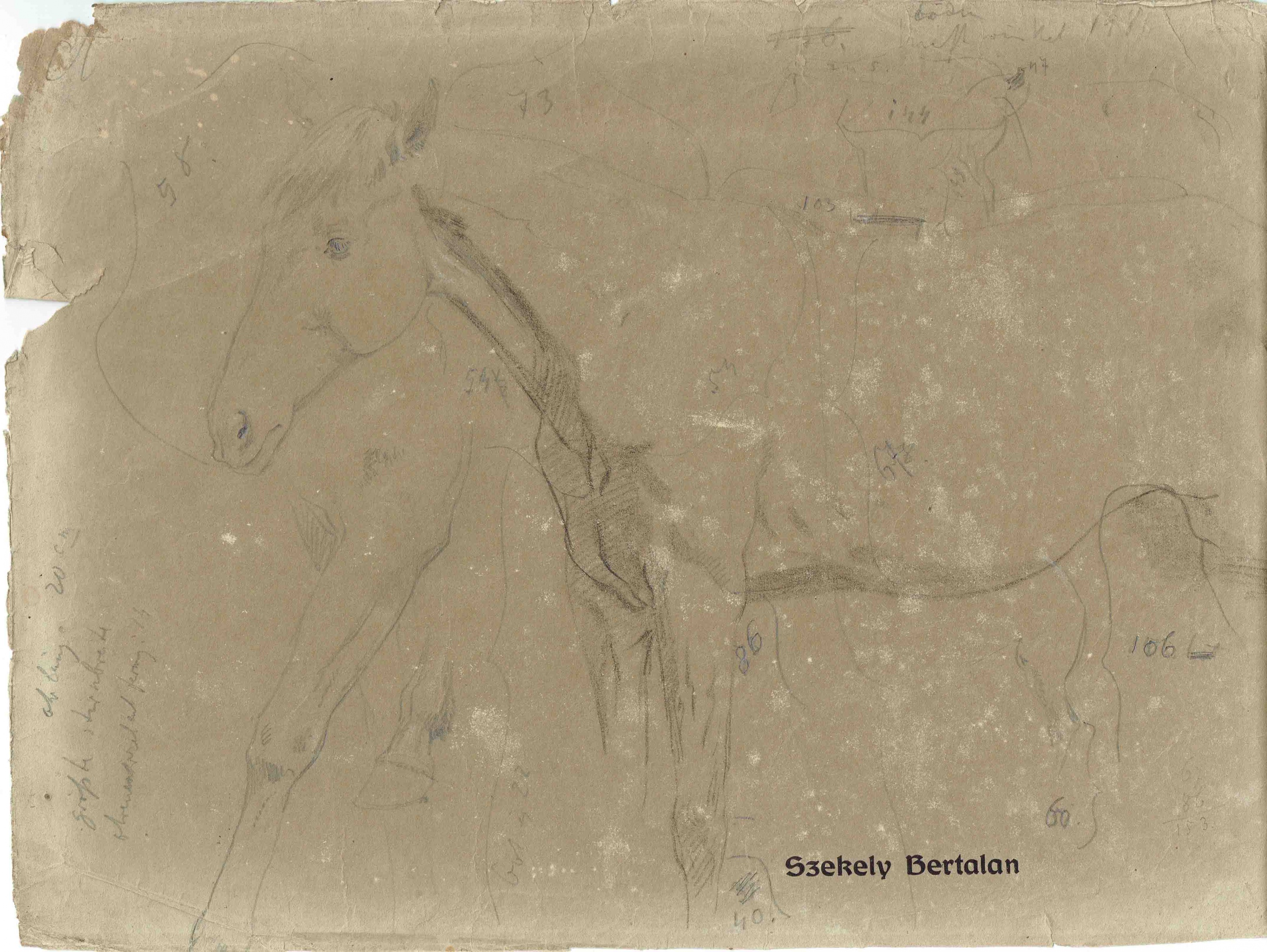 Ló tanulmány (Petőfi Közérdekű Muzeális Gyűjtemény (Aszód Városi Kulturális Központ) CC BY-NC-SA)