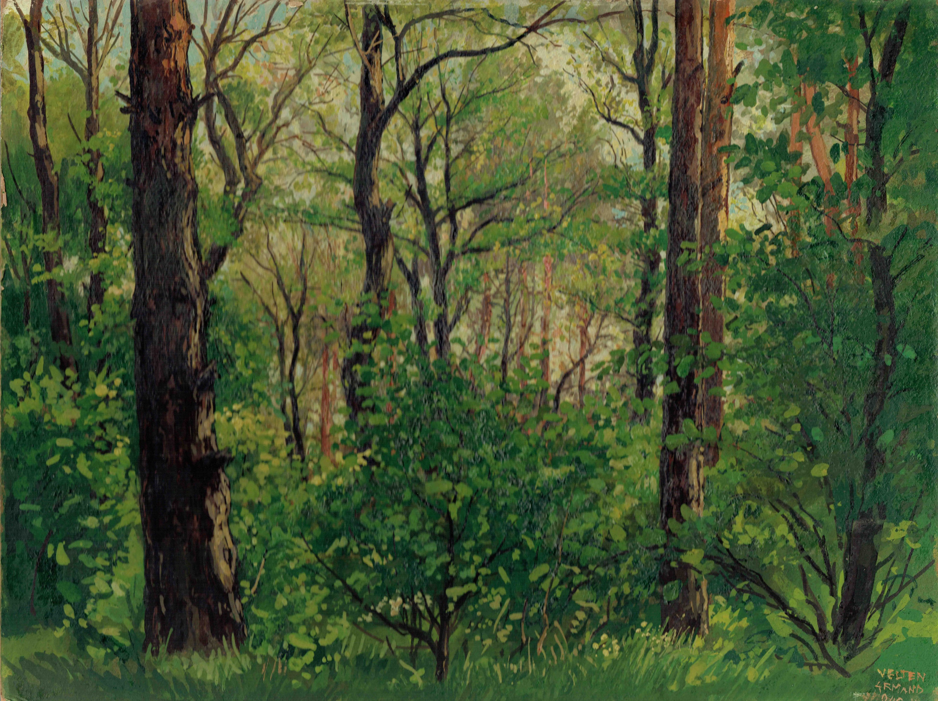 Velten Armand: Erdőrészlet (Petőfi Közérdekű Muzeális Gyűjtemény (Aszód Városi Kulturális Központ) CC BY-NC-SA)