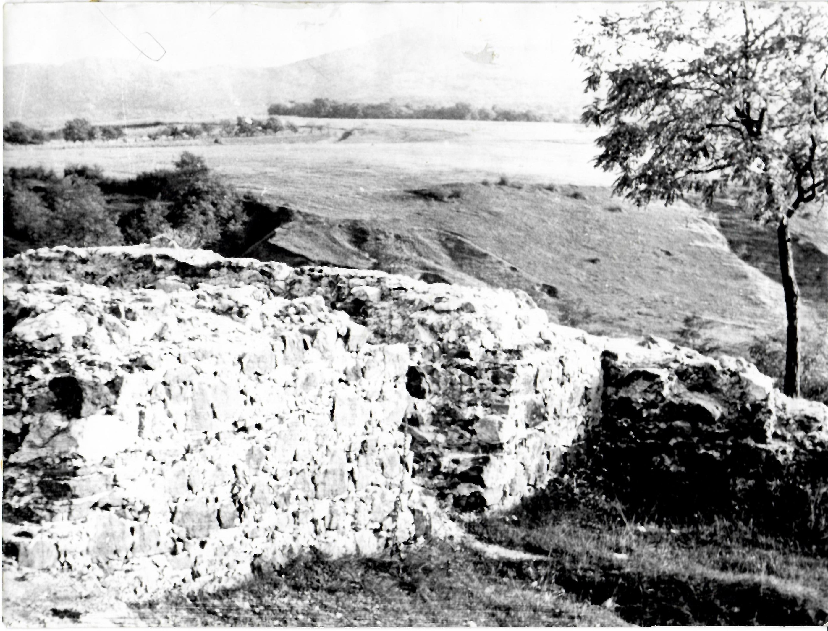 Solymári vár - az öregtorony kapuja (Dr. Jablonkay István Helytörténeti Gyűjtemény CC BY-NC-SA)