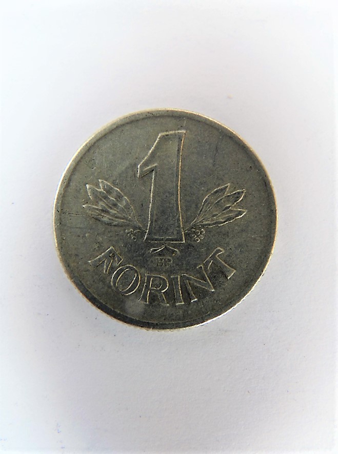Fém pénz - 1 forint (Dr. Jablonkay István Helytörténeti Gyűjtemény CC BY-NC-SA)