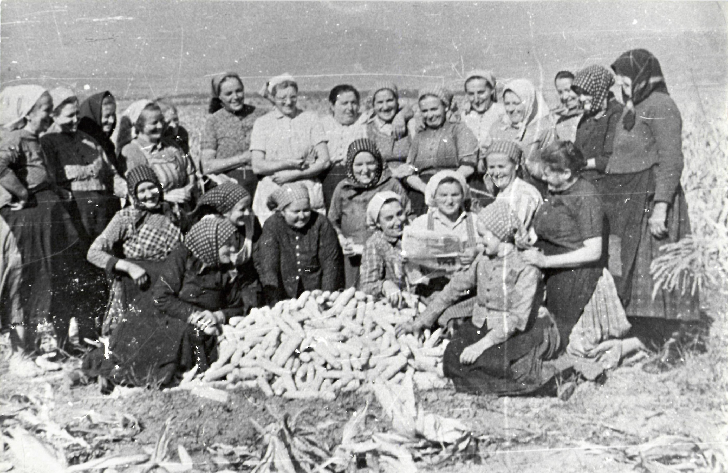 Kukoricatörő asszonyok (Dr. Jablonkay István Helytörténeti Gyűjtemény CC BY-NC-SA)