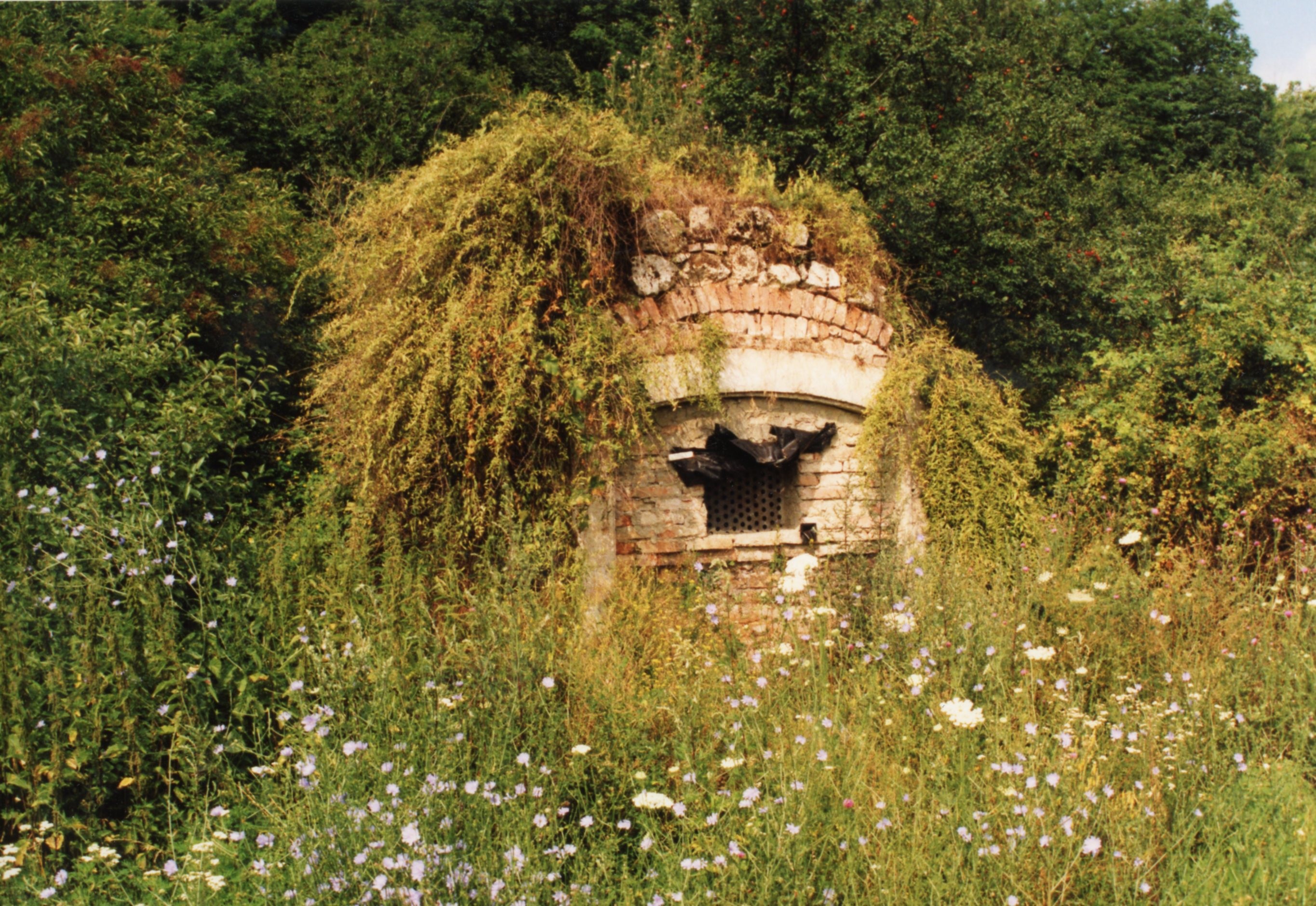Ófalusi pincék (Magyar Földrajzi Múzeum CC BY-NC-SA)
