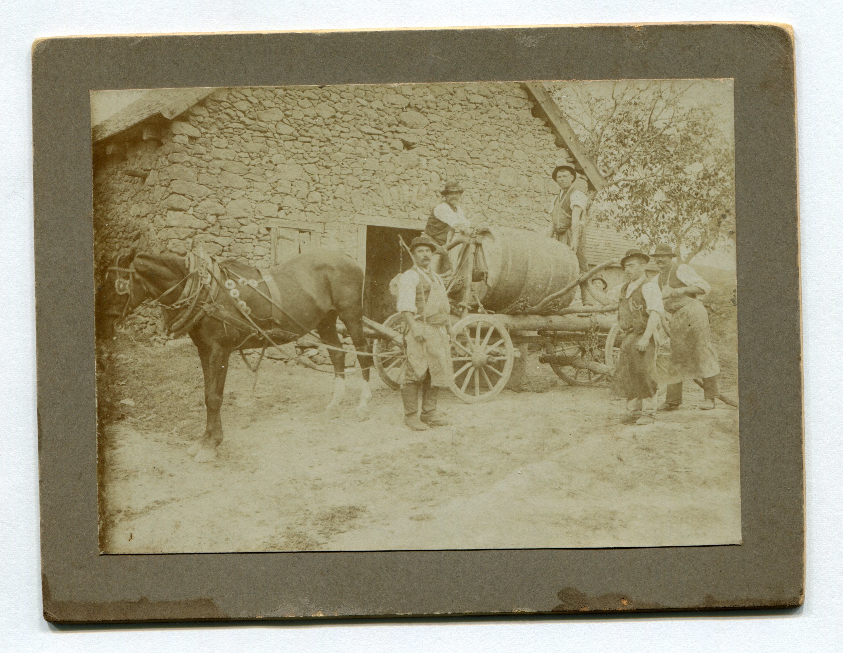 Szőlőszüret (Budaörsi Bleyer Jakab Heimatmuseum CC BY-NC-SA)