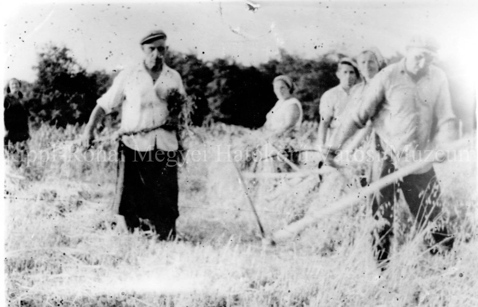 A Tálos és Penzár család aratása (Rippl-Rónai Múzeum CC BY-NC-SA)