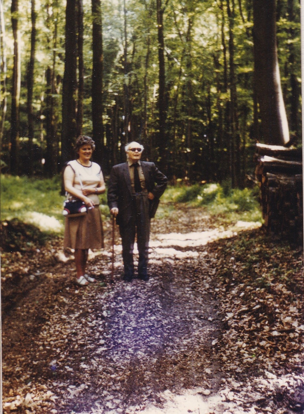 Martyn Ferenc archív: Baranyajenő fölött a Langi erdőbe. (Rippl-Rónai Múzeum CC BY-NC-ND)