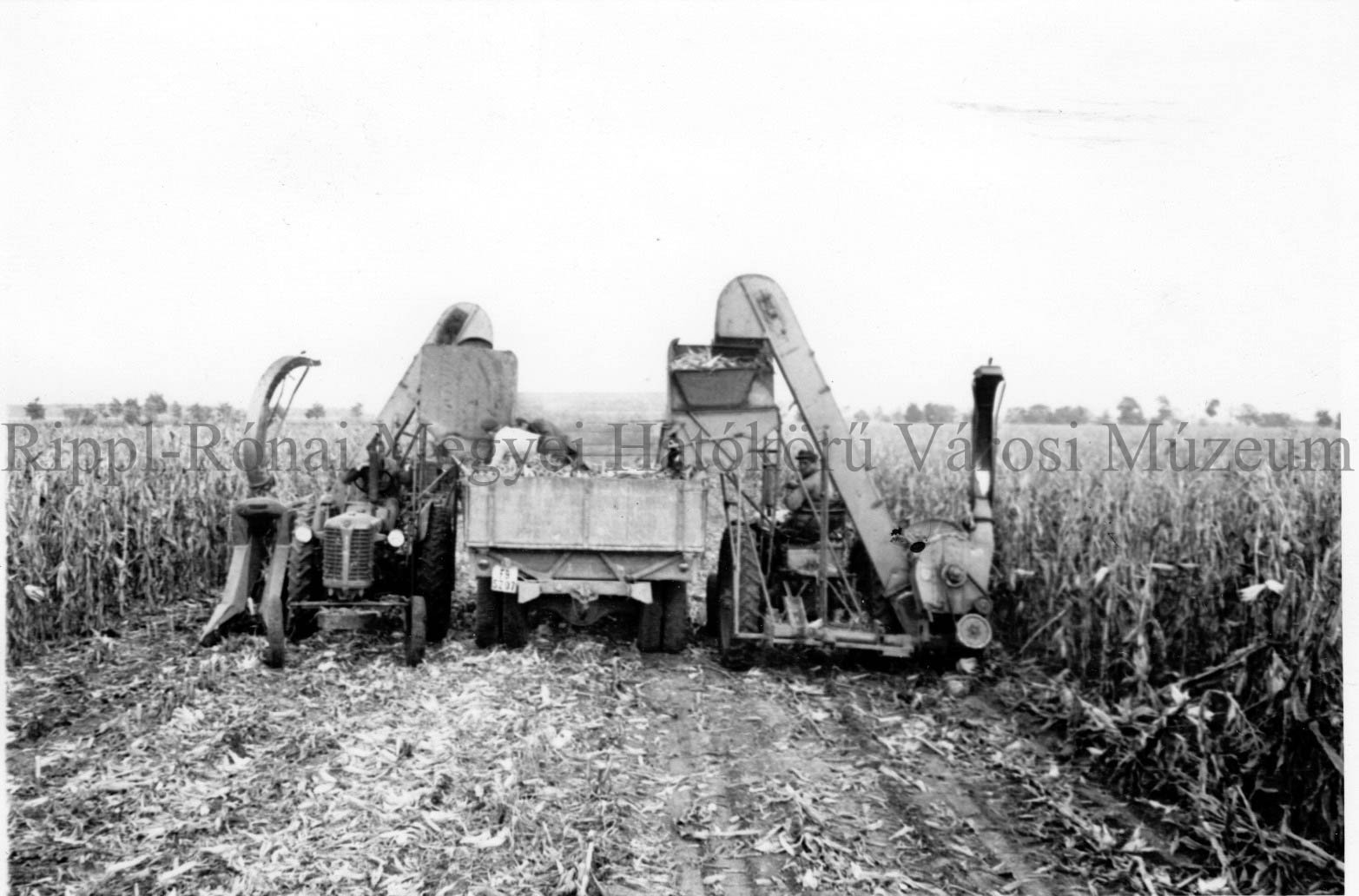 Csőtörők a zimányi határban. A megtelt tartályokból a teherdépkocsiba folyik a kukoricacső. (Rippl-Rónai Múzeum CC BY-NC-SA)