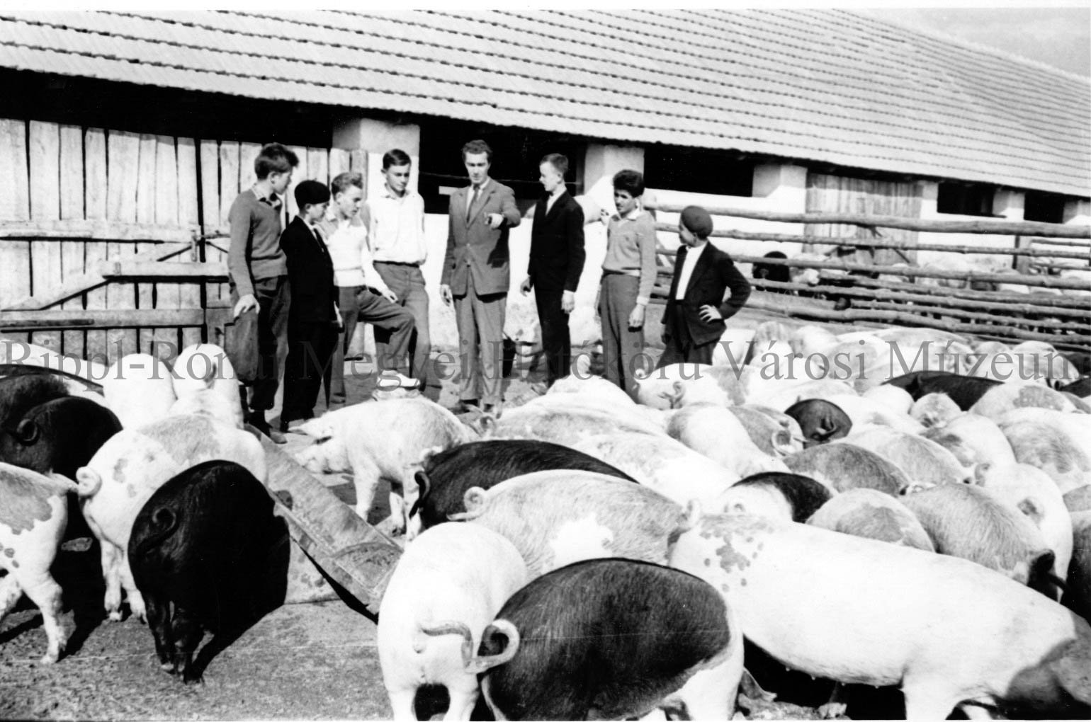 A csurgói Mezőgazdasági Szakiskola hallgatói a Zrínyi Tsz. hizlaldájánál végzik a gyakorlati munkát (Rippl-Rónai Múzeum CC BY-NC-SA)
