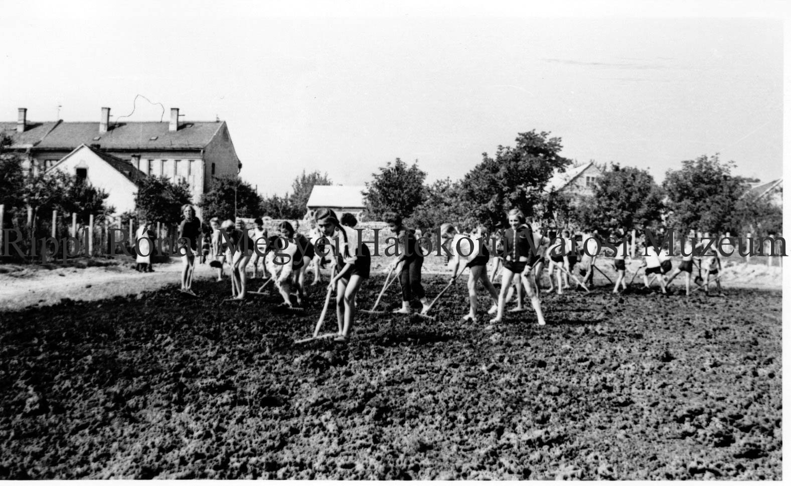 A Vörös Hadsereg (ma Pécsi) úti iskola tanulói sportpályát építenek (Rippl-Rónai Múzeum CC BY-NC-SA)
