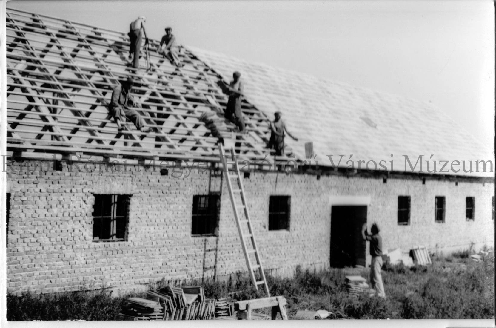 Növendékmarha-istálló építése a hedrehelyi Új Élet tsz-ben (Rippl-Rónai Múzeum CC BY-NC-SA)