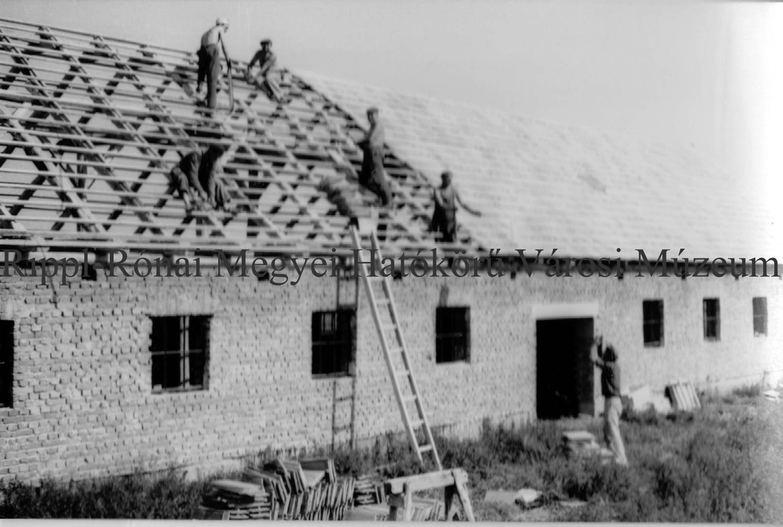 Növendékmarha-istálló építése a hedrehelyi Új Élet tsz-ben (Rippl-Rónai Múzeum CC BY-NC-SA)