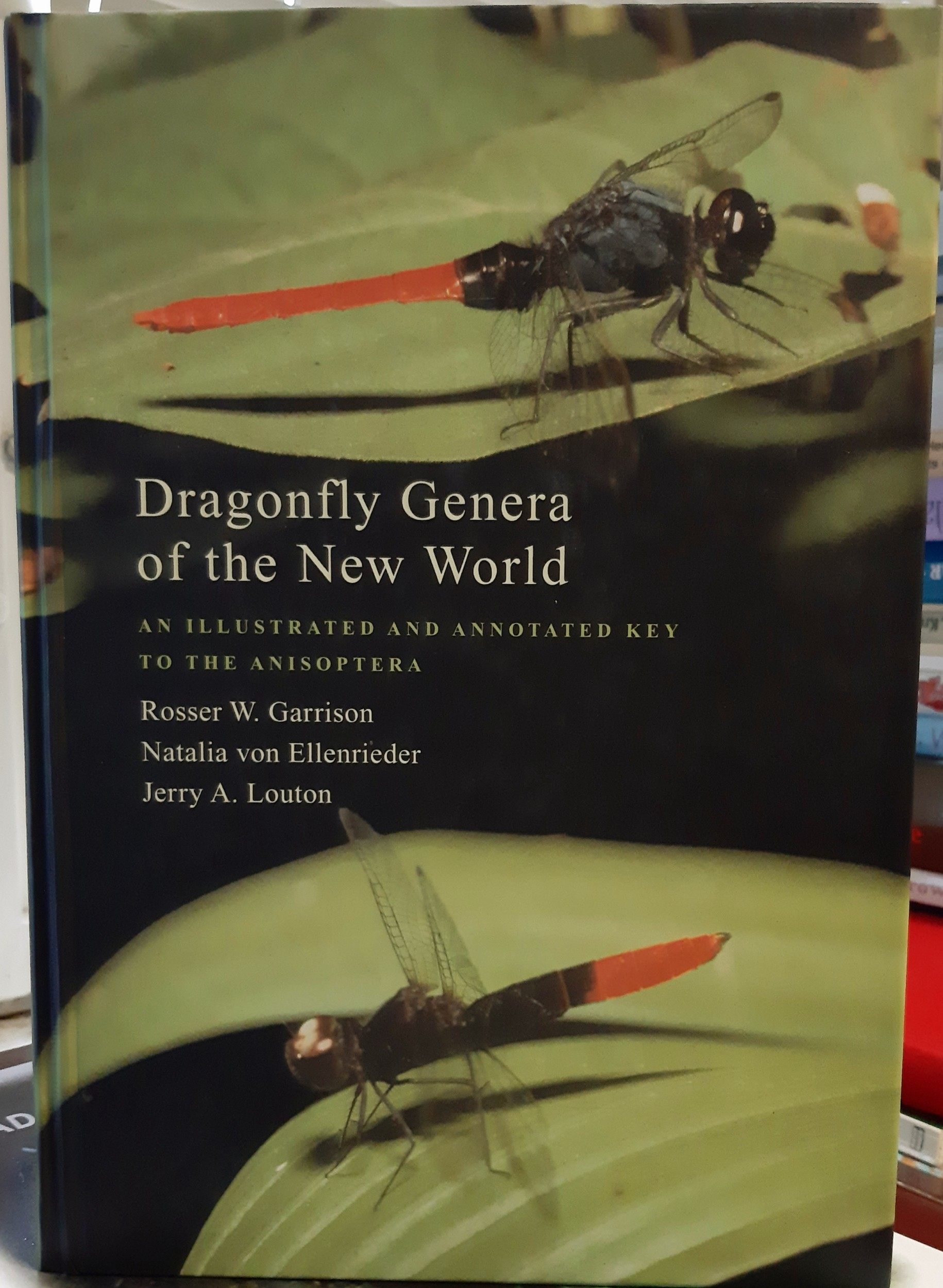 Rosser W. Garrison; Natalia von Ellenrieder; Jerry A. Louton: Dragonfly Genera of the New World. An illustrated and annotated key to the Anisoptera (Rippl-Rónai Múzeum CC BY-NC-ND)