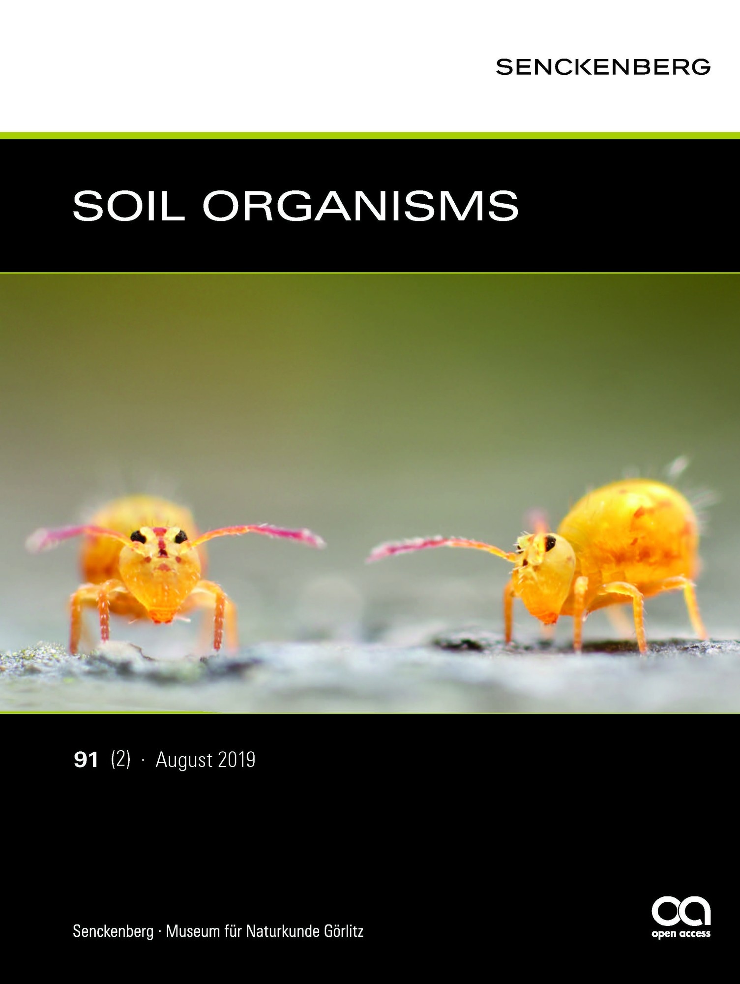 Soil Organisms 2019/91. évf. 2. sz. (Rippl-Rónai Múzeum CC BY-NC-ND)