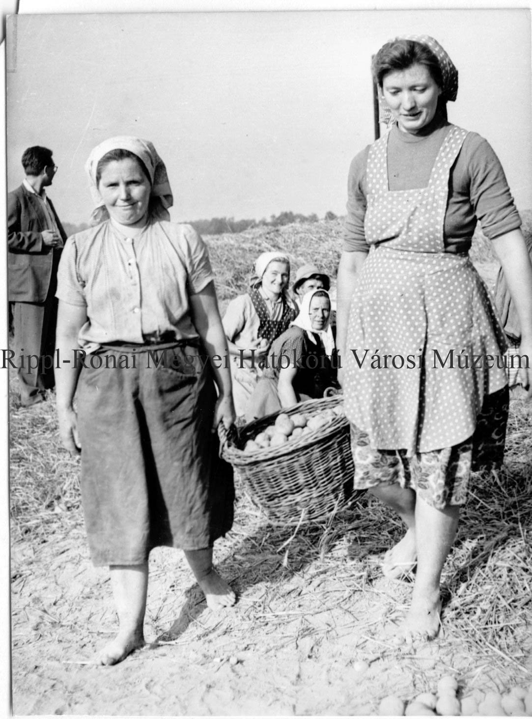 A heresznyei tsz. két fejőnője a mezőn (Rippl-Rónai Múzeum CC BY-NC-SA)