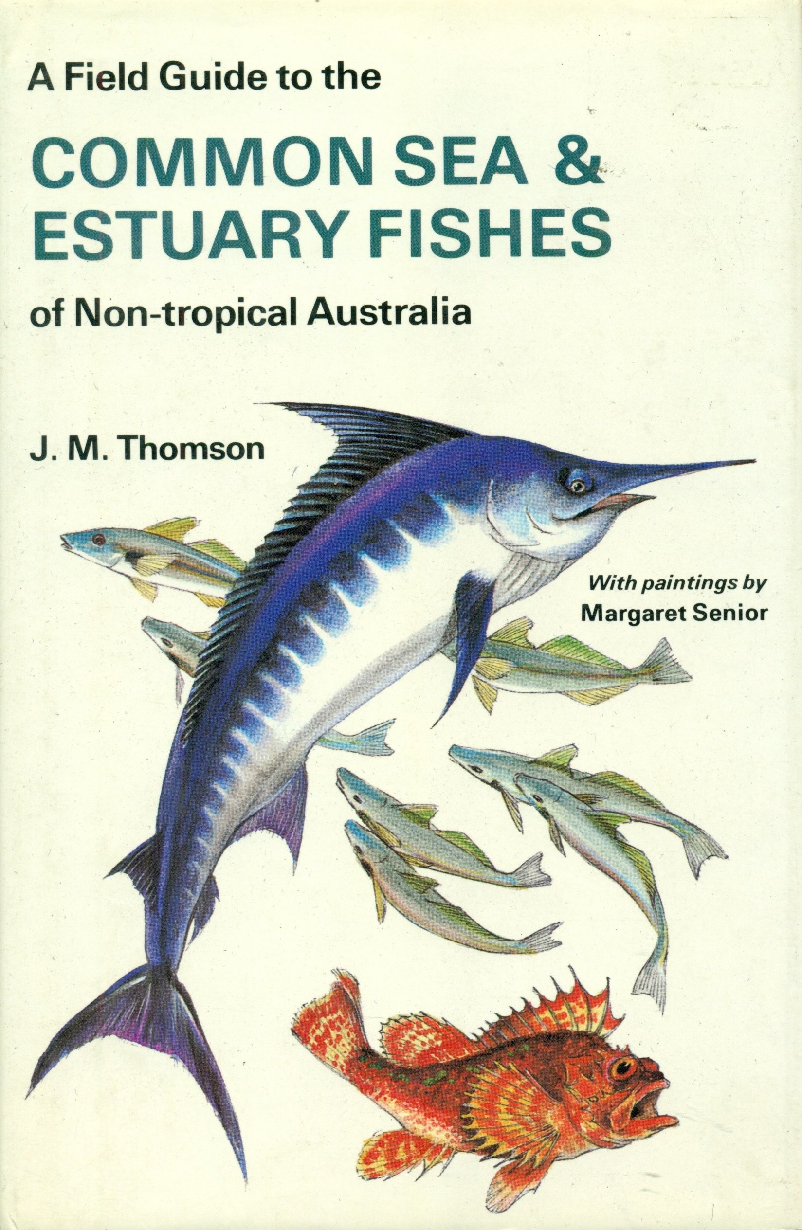 J. M. Thomson: A Field Guide to the Common Sea & Estuary Fishes of Non-tropical Australia (Rippl-Rónai Múzeum CC BY-NC-ND)