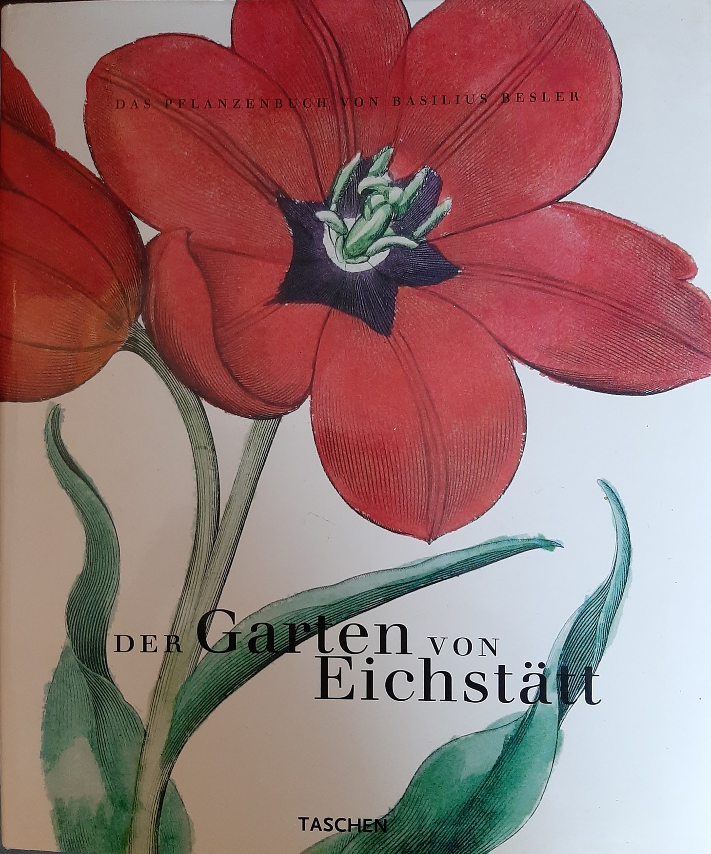 Der Garten von Eichstätt. Das Pflanzenbuch von Basilius Besler. (Rippl-Rónai Múzeum CC BY-NC-ND)