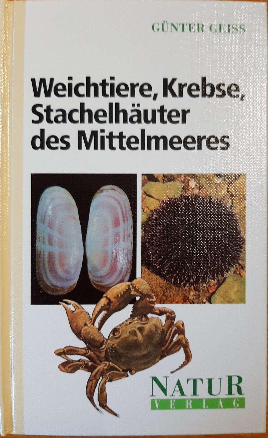 Günter Geiss: Weichtiere, Krebse, Stachelhäuter des Mittelmeeres (Rippl-Rónai Múzeum CC BY-NC-ND)