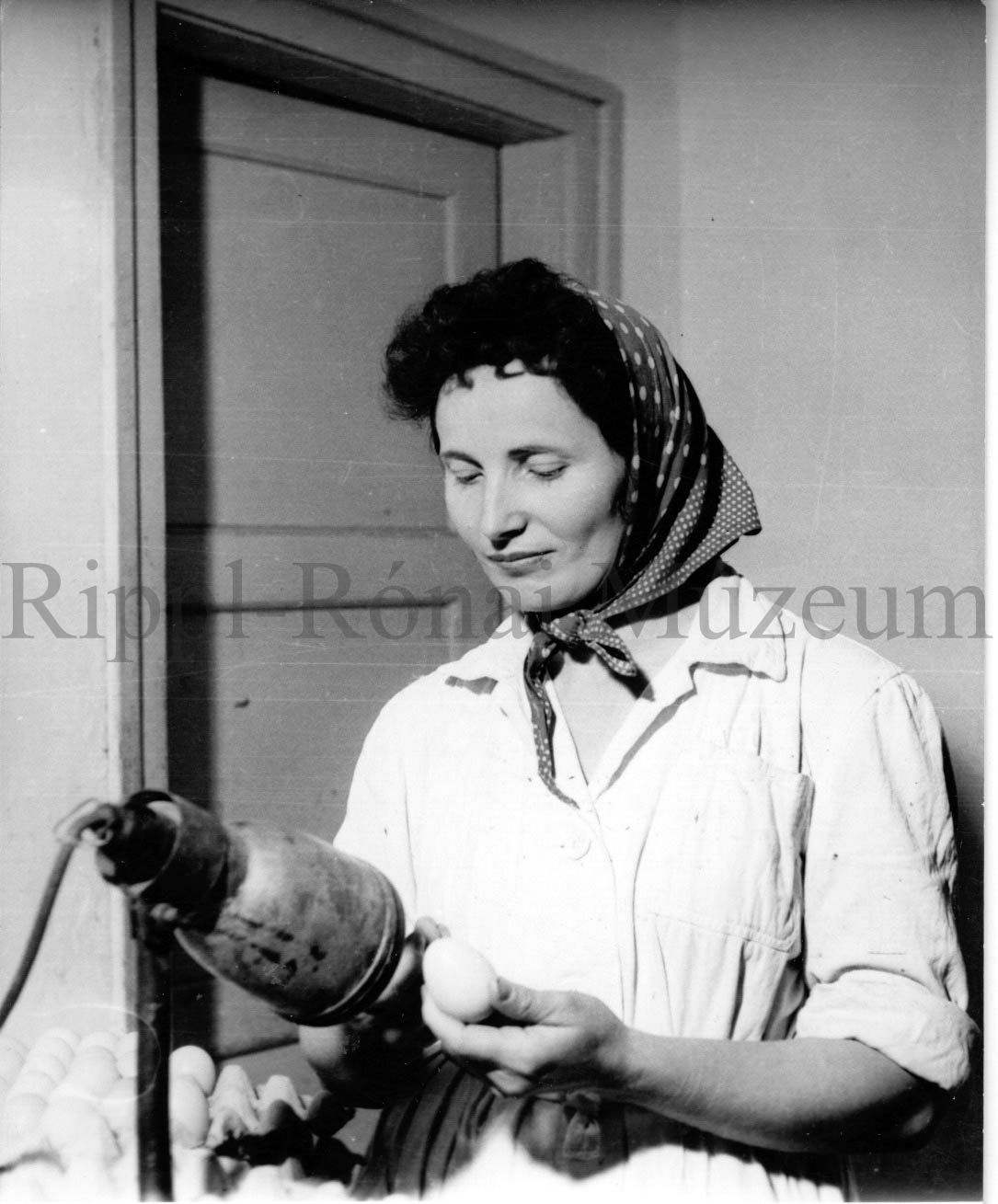 Molnár Anna, a Baromfifeldogozó Vállalatnál tojásokat lámpáz (Rippl-Rónai Múzeum CC BY-NC-SA)