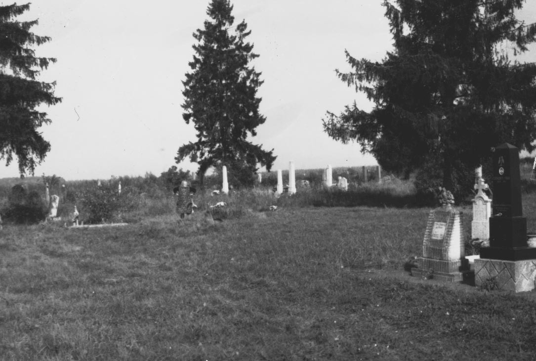 A temető északi fele (Rippl-Rónai Múzeum CC BY-NC-ND)