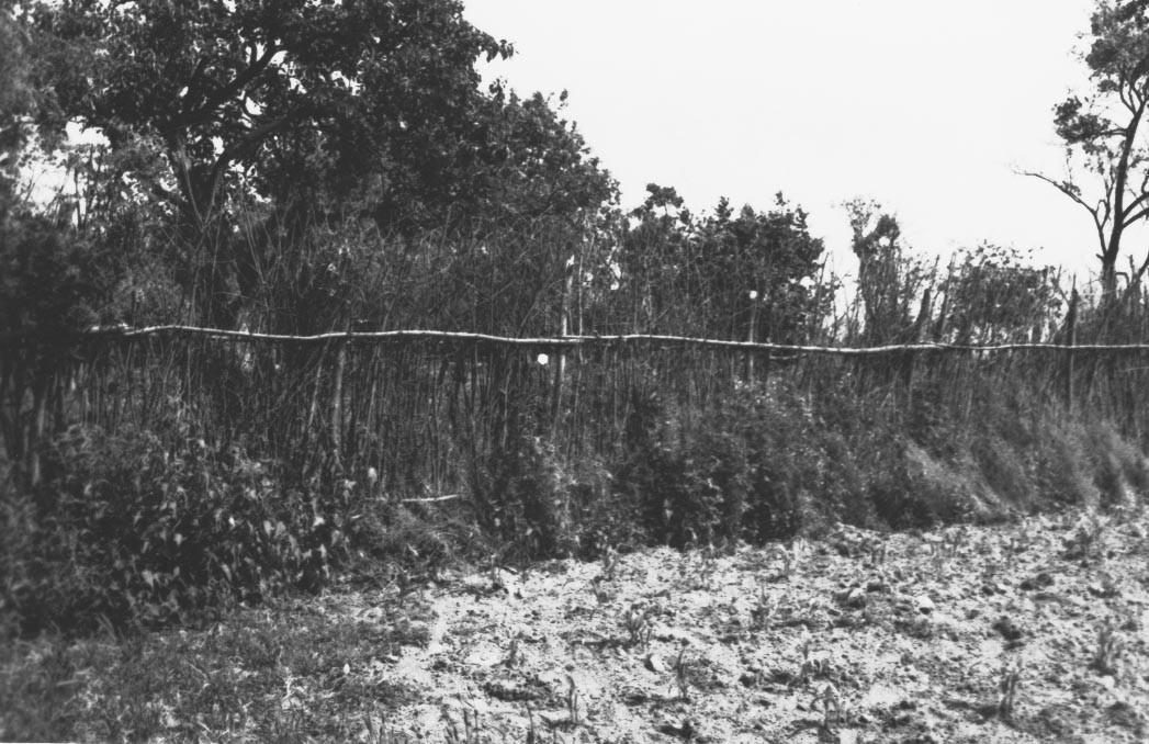 Faajtóból font kerítés (Rippl-Rónai Múzeum CC BY-NC-ND)