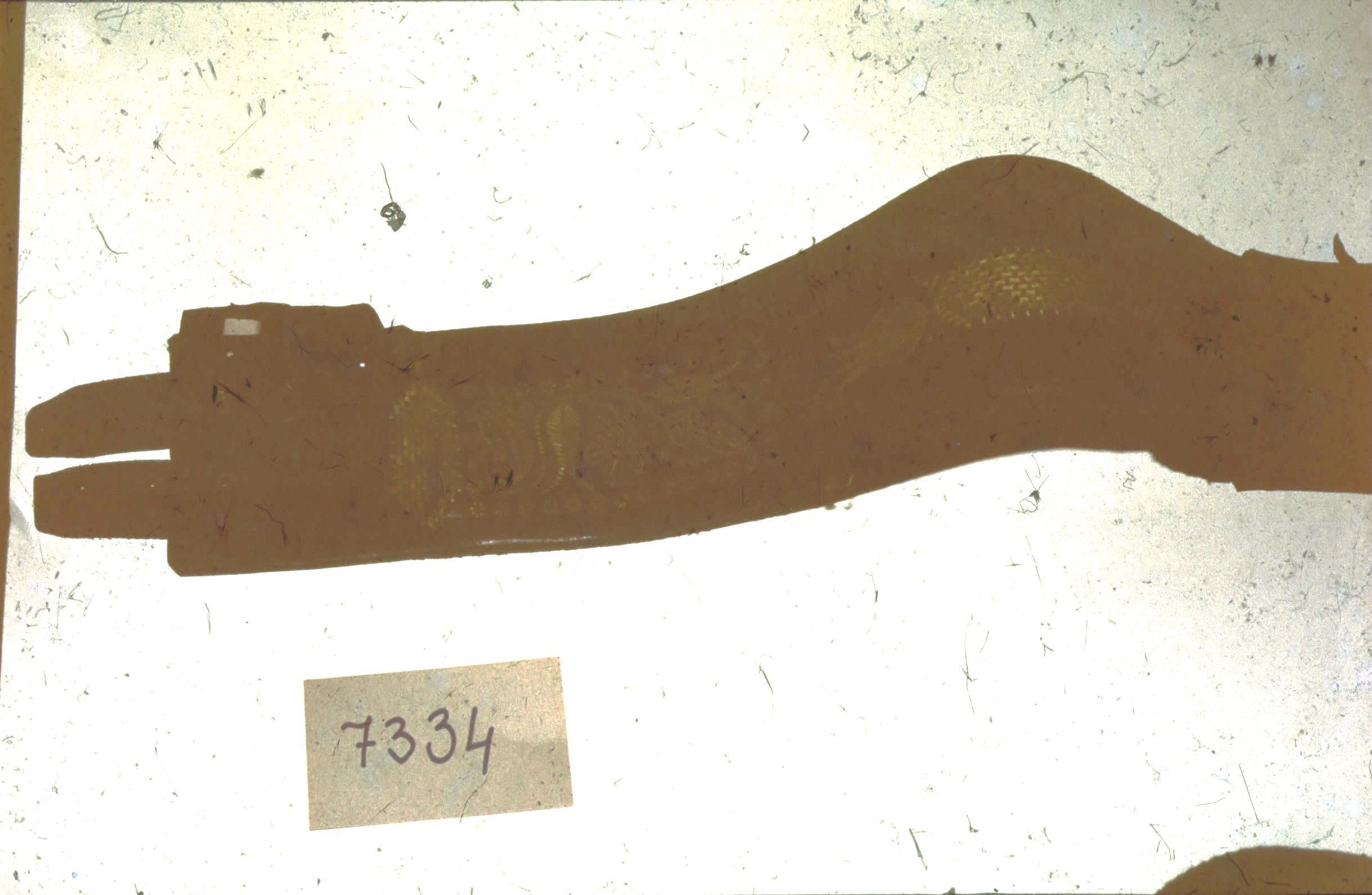 Bőr (Rippl-Rónai Múzeum CC BY-NC-ND)