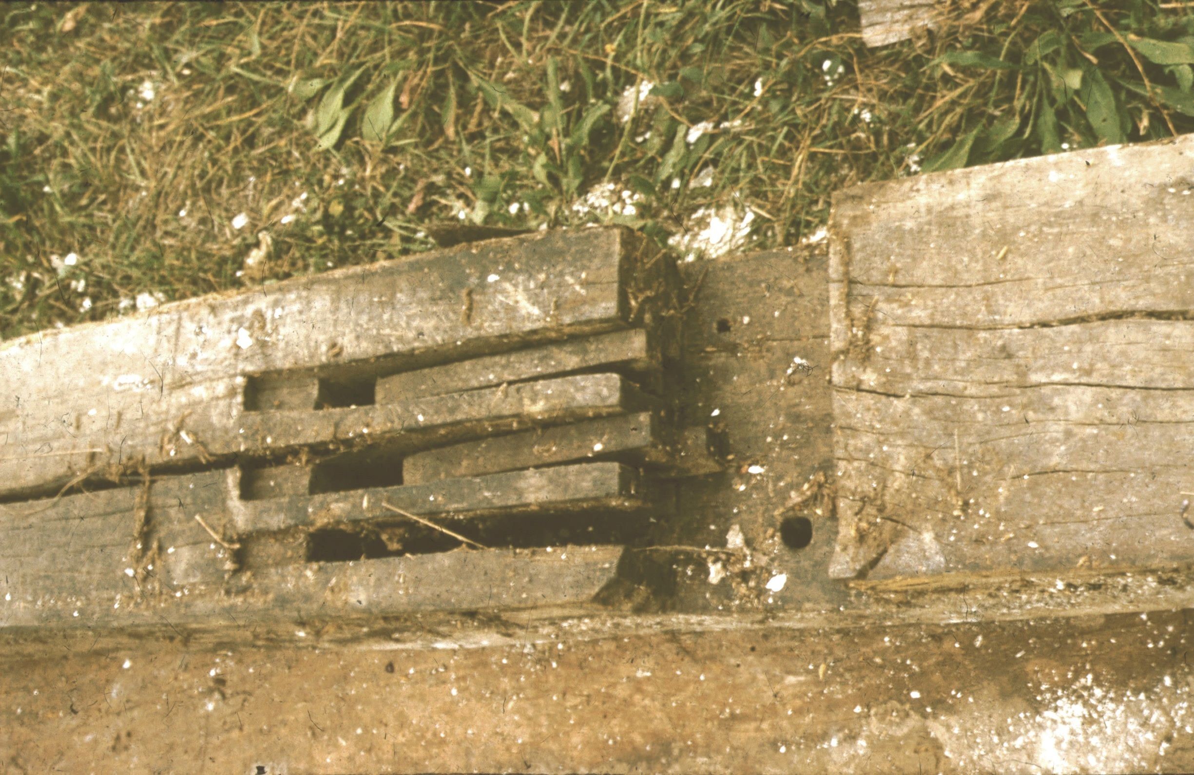Alsósegesdi présház építése. Borospince fazárja (Rippl-Rónai Múzeum CC BY-NC-ND)