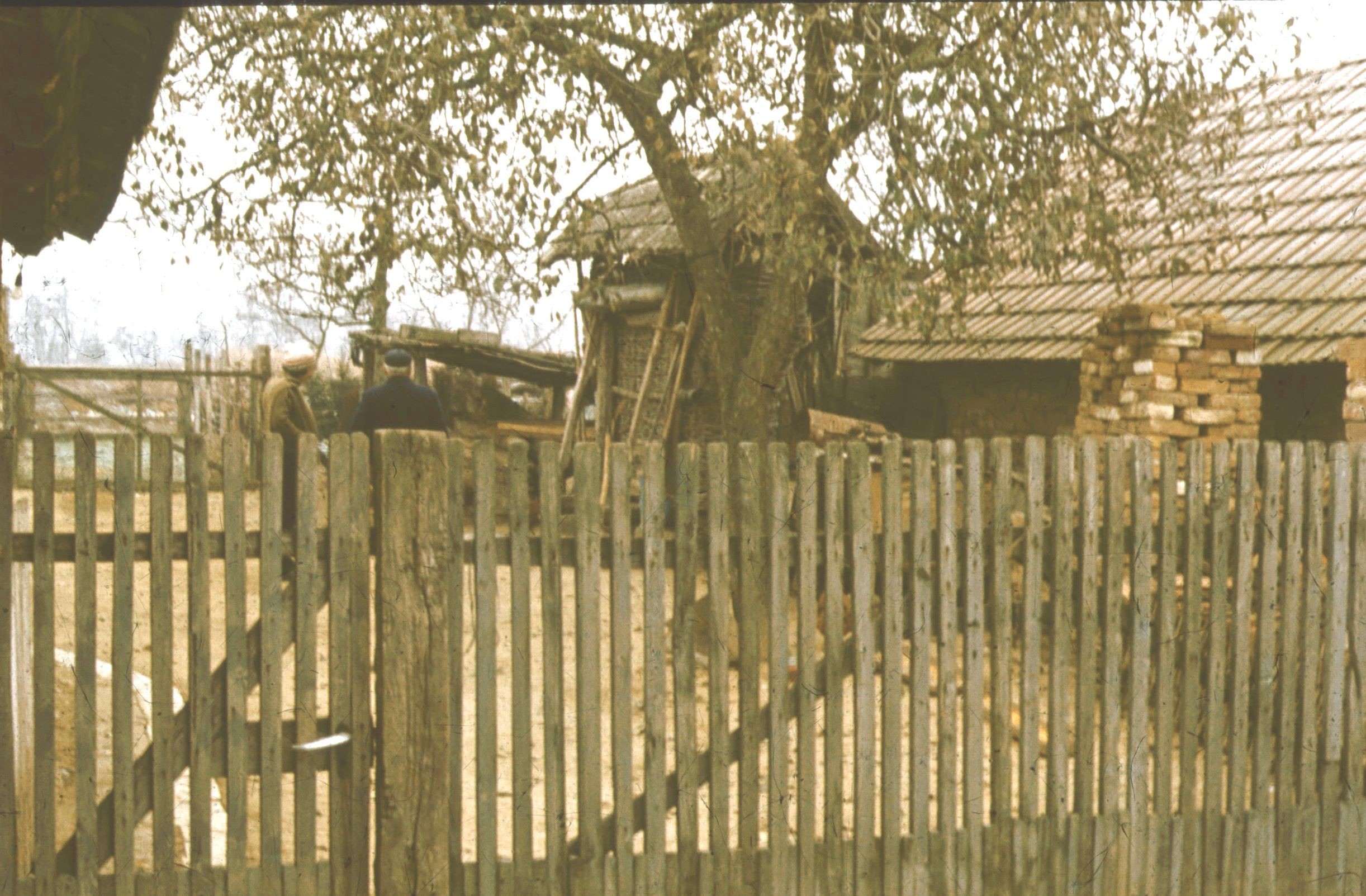 Baromfiudvar nézete DK-ről (Rippl-Rónai Múzeum CC BY-NC-ND)