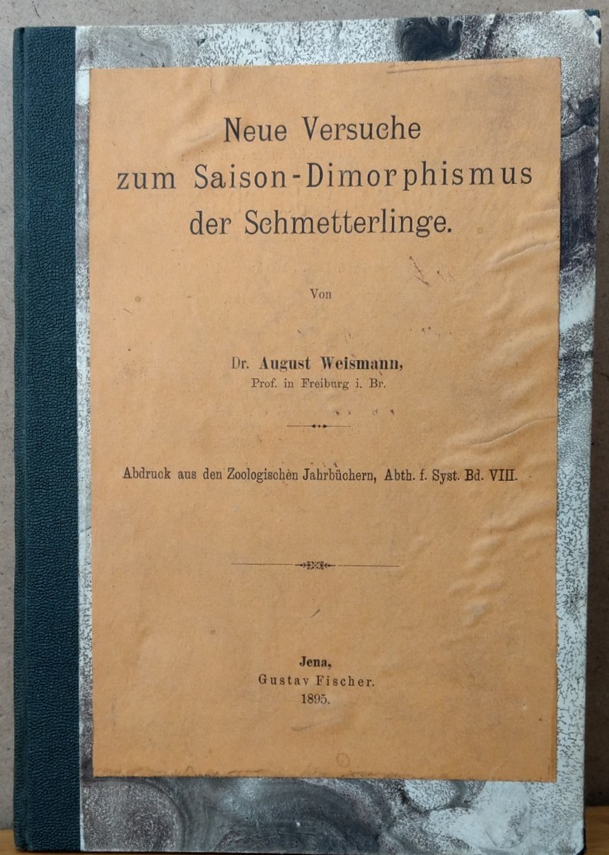 August Weismann: Neue Versuche zum Saison-Dimorphismus der Schmetterlinge (Rippl-Rónai Múzeum CC BY-NC-ND)