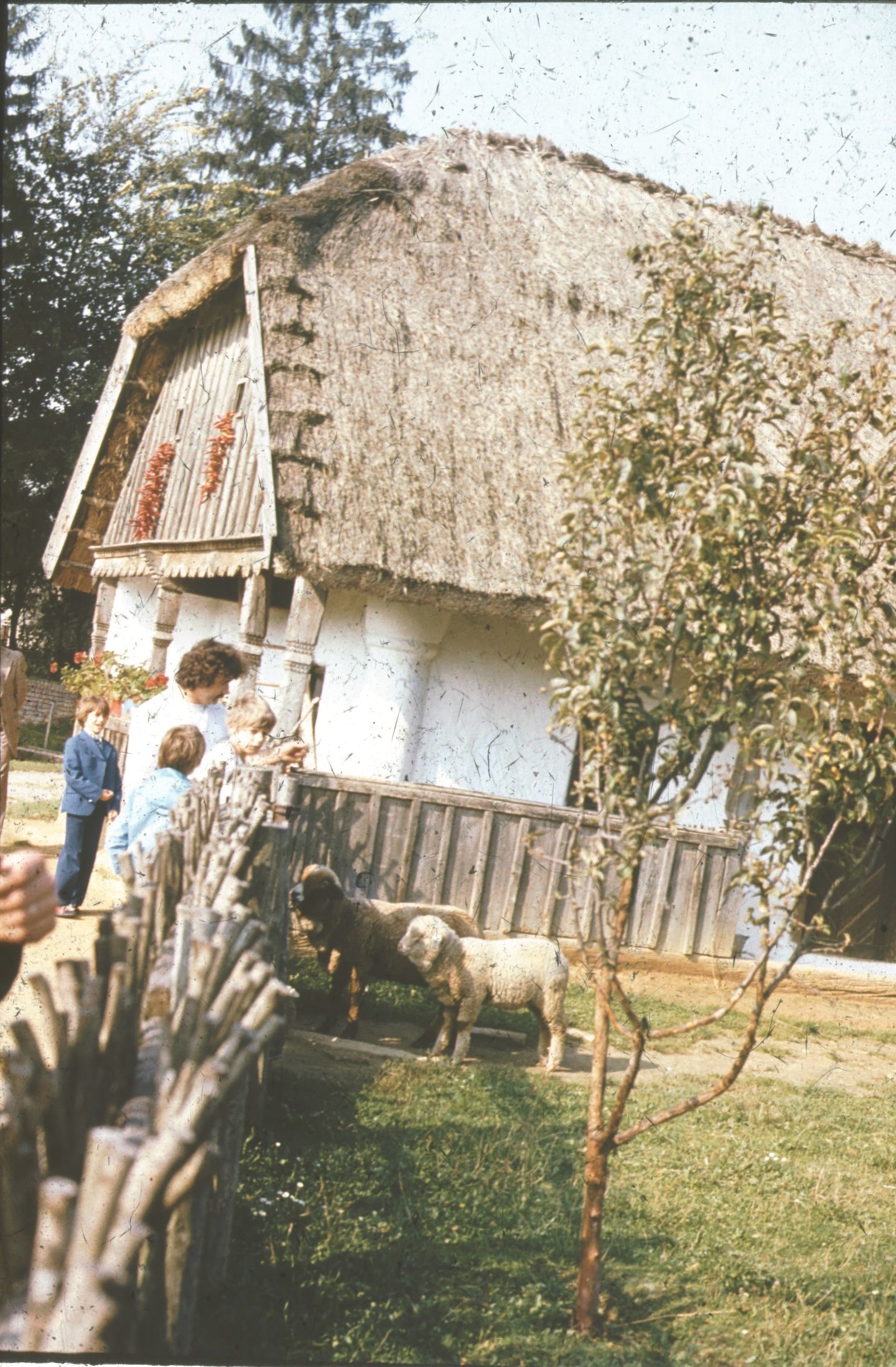 Nagybajomi ház homlokzata (Rippl-Rónai Múzeum CC BY-NC-ND)