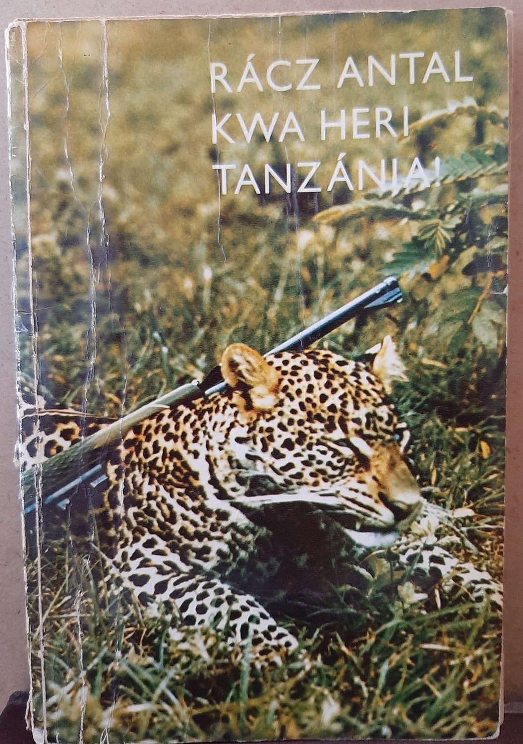 Rácz Antal: Kwa Heri Tanzánia! (Rippl-Rónai Múzeum CC BY-NC-ND)