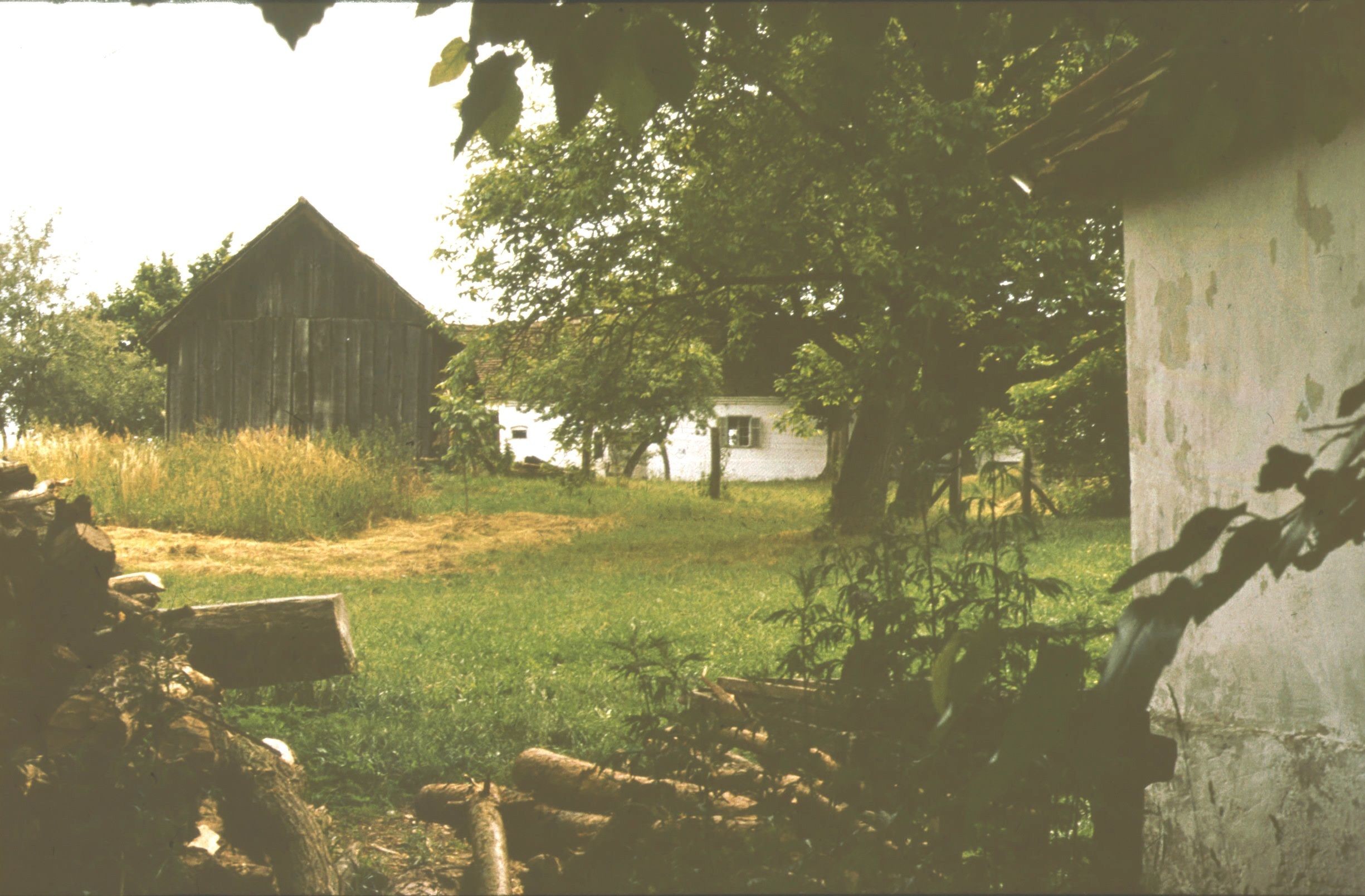 A molnár lakótelkének látképe a malom mellett (Rippl-Rónai Múzeum CC BY-NC-ND)