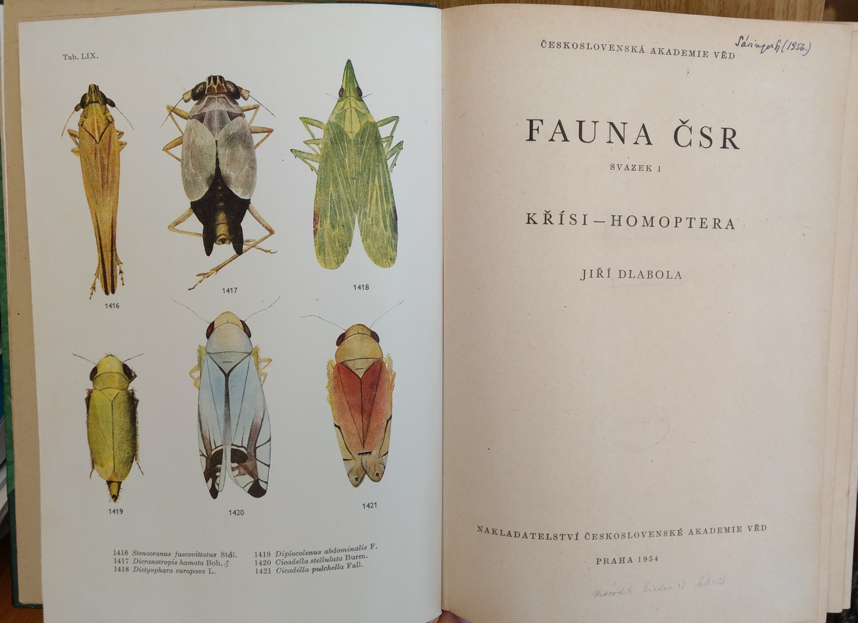 Jiří Dlabola: Fauna ČSR. Sazek 1., Křísi - homoptera (Rippl-Rónai Múzeum CC BY-NC-ND)