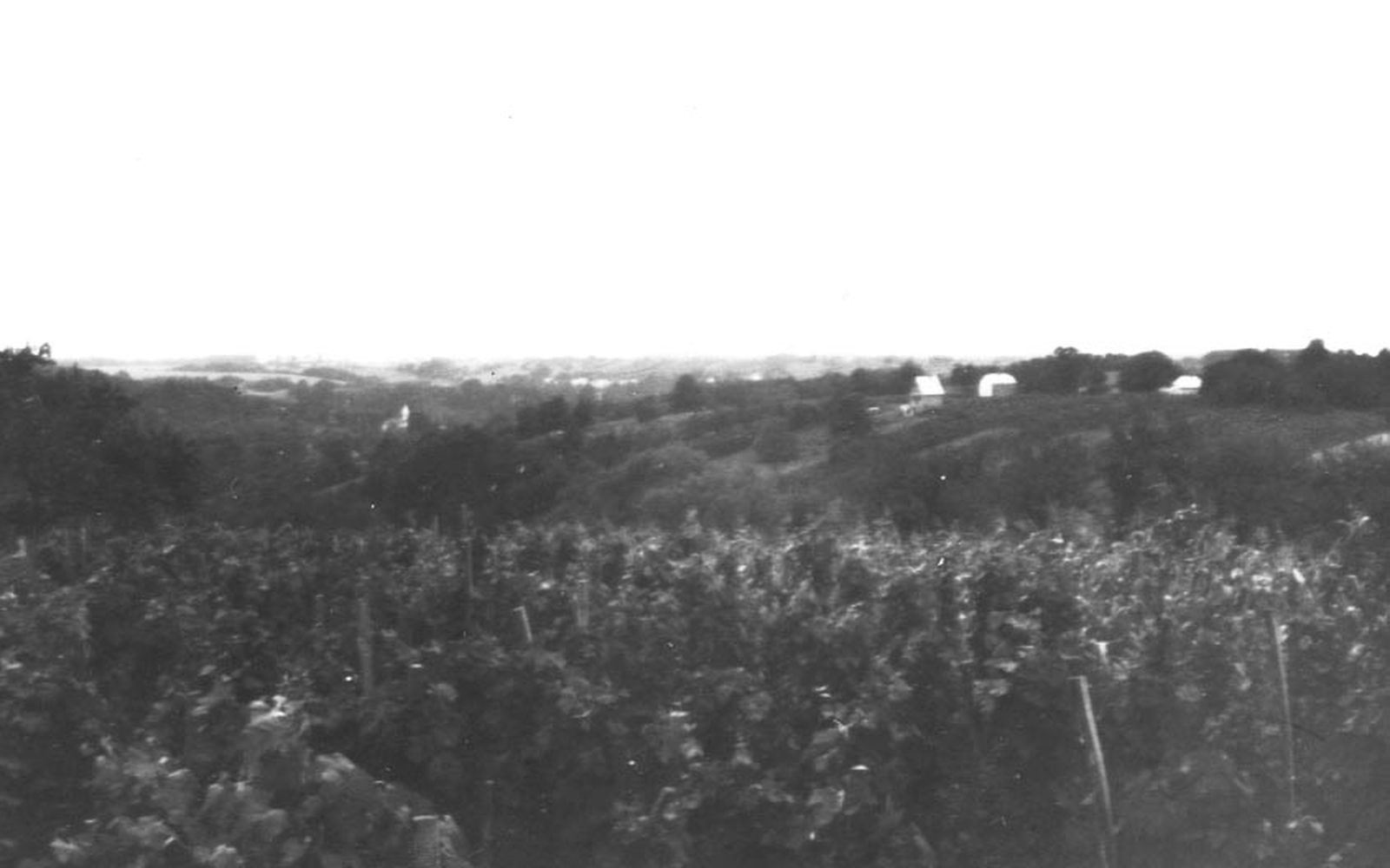 Kilátás a falu felé DNY-nak, Surd, Felsőhegy (Rippl-Rónai Múzeum CC BY-NC-ND)