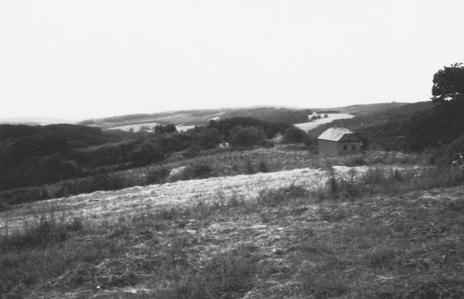 A Kisfeji dűlő látképe DNy-ról. Surd, Felsőhegy (Rippl-Rónai Múzeum CC BY-NC-ND)