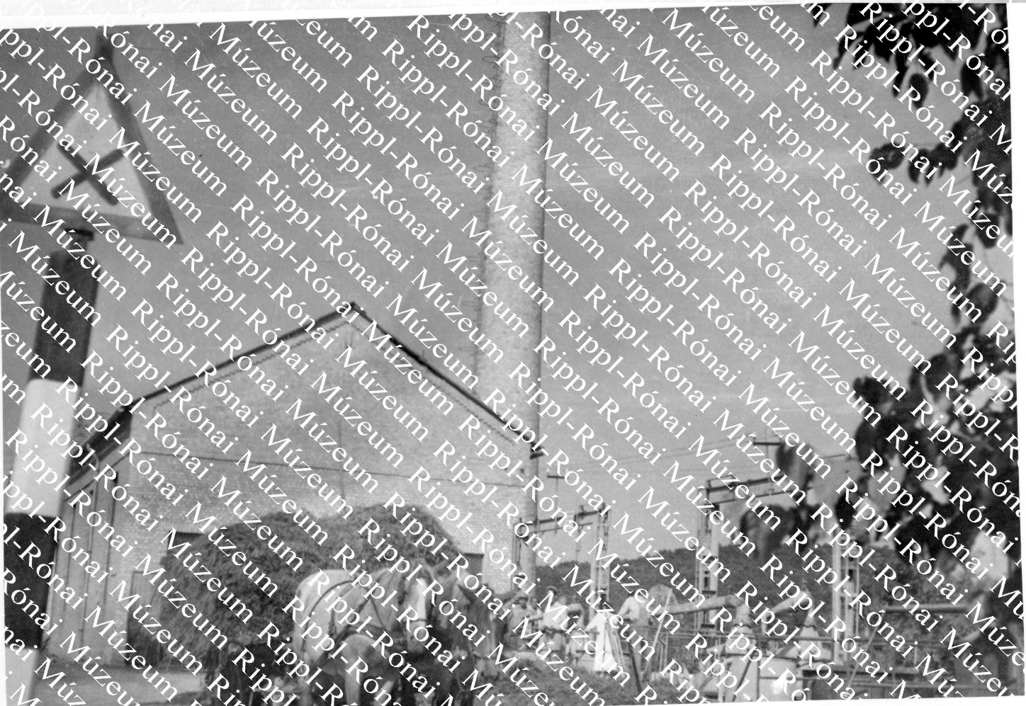 A Kompozíció Illóolaj és Vegyészeti Gyár daránypusztai telepe (Rippl-Rónai Múzeum CC BY-NC-SA)