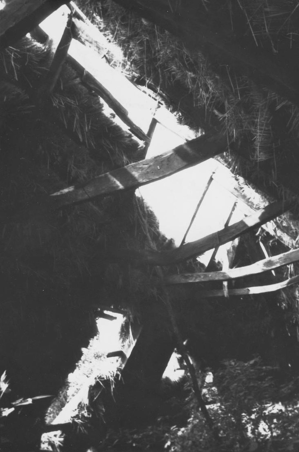 Szamfák nézete a padlástérben NY-ról. Pátró (Rippl-Rónai Múzeum CC BY-NC-ND)