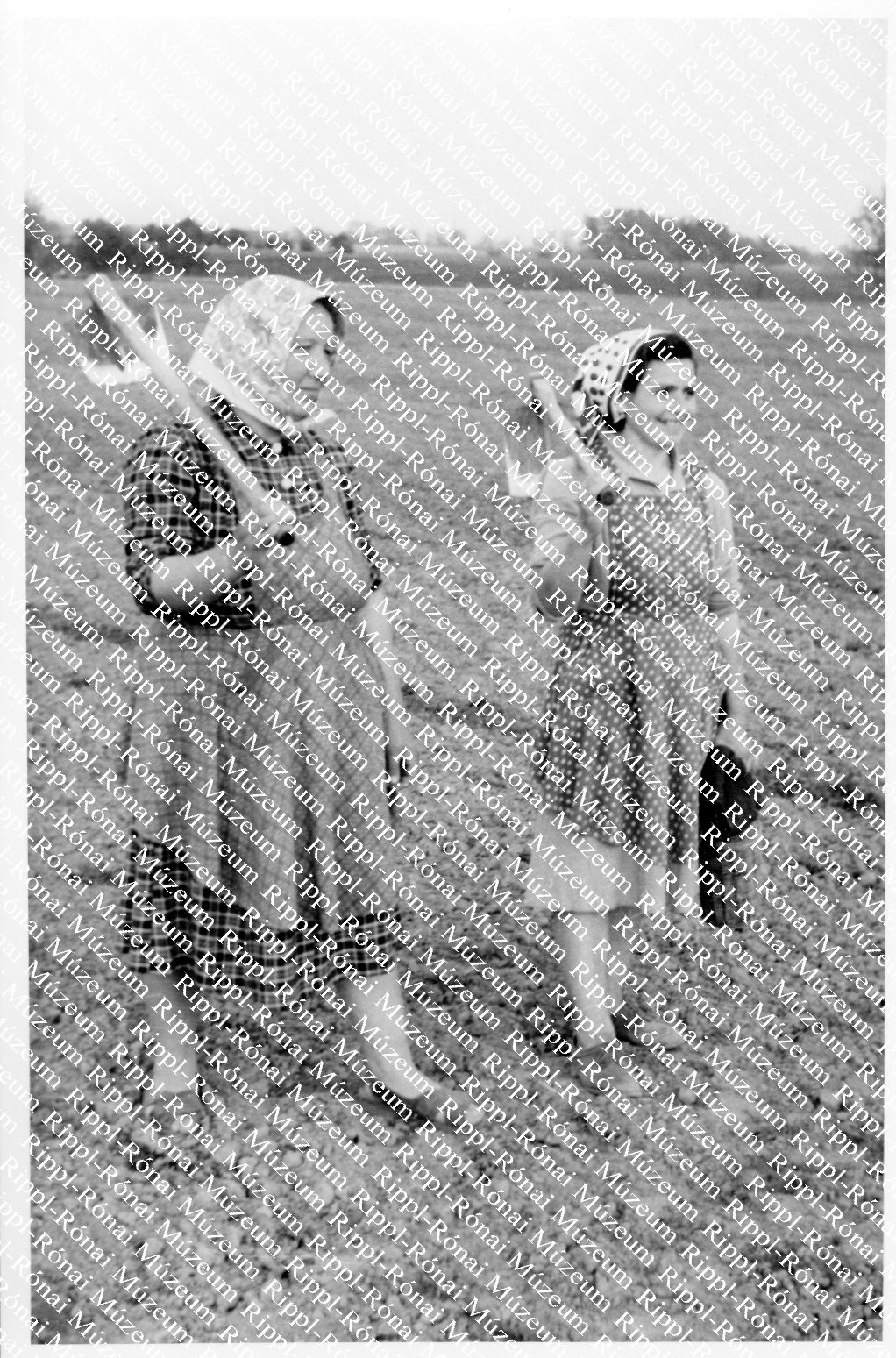 A pusztakovácsi asszonyok hazafelé tartanak a mezőről (Rippl-Rónai Múzeum CC BY-NC-SA)