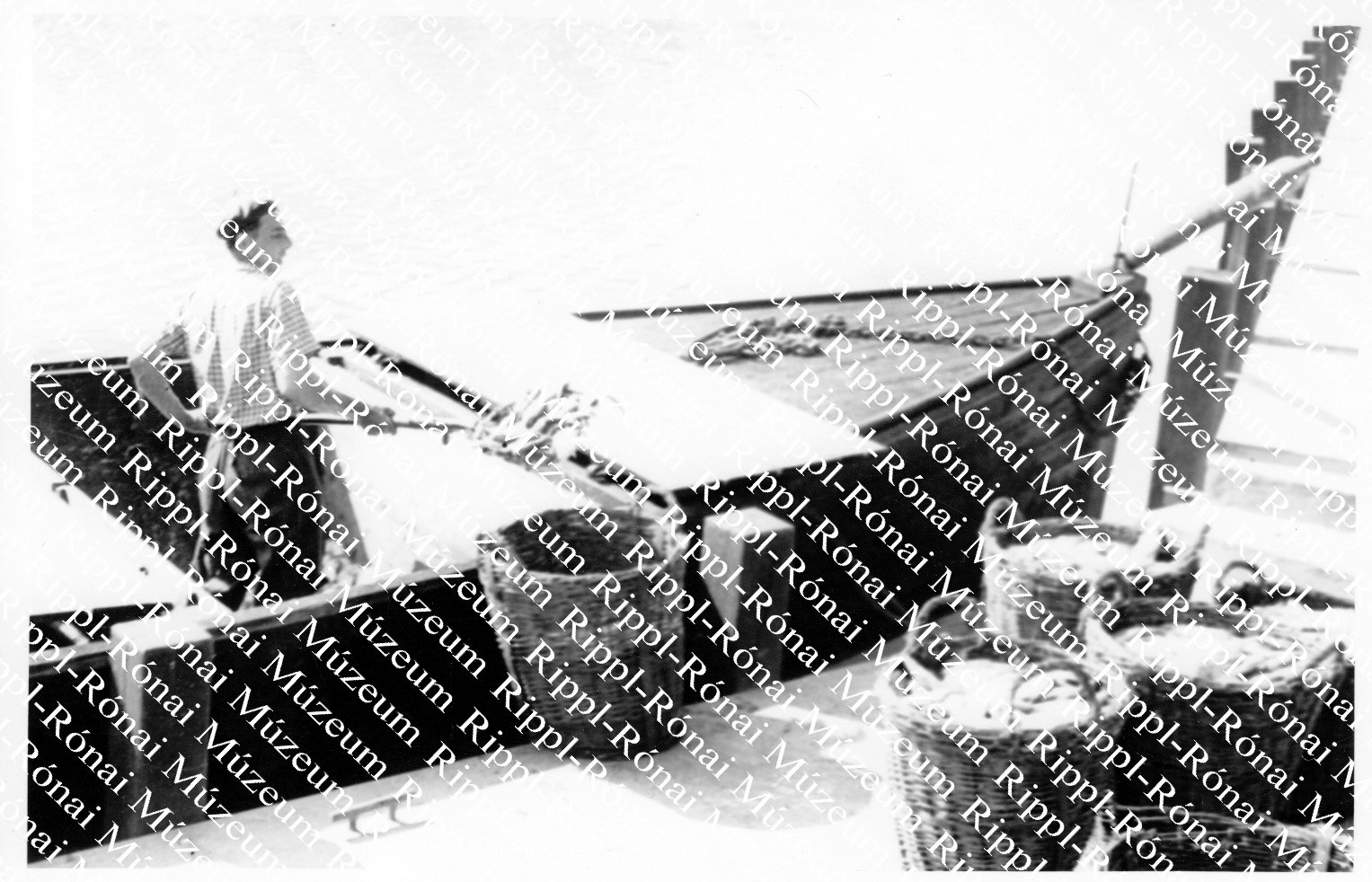 A Balatoni Halászati Vállalat motorosa halfogásról tér vissza. (Rippl-Rónai Múzeum CC BY-NC-SA)