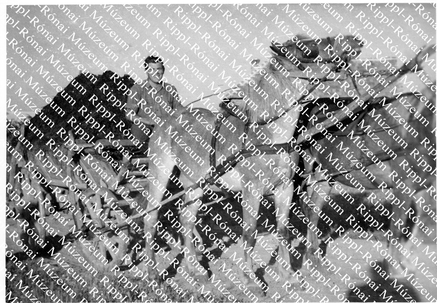 Ángyán József lovaival (Rippl-Rónai Múzeum CC BY-NC-SA)