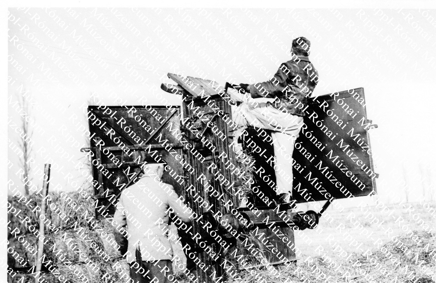 Bálázzák a balatonboglári Fmsz-ben a sását (Rippl-Rónai Múzeum CC BY-NC-SA)