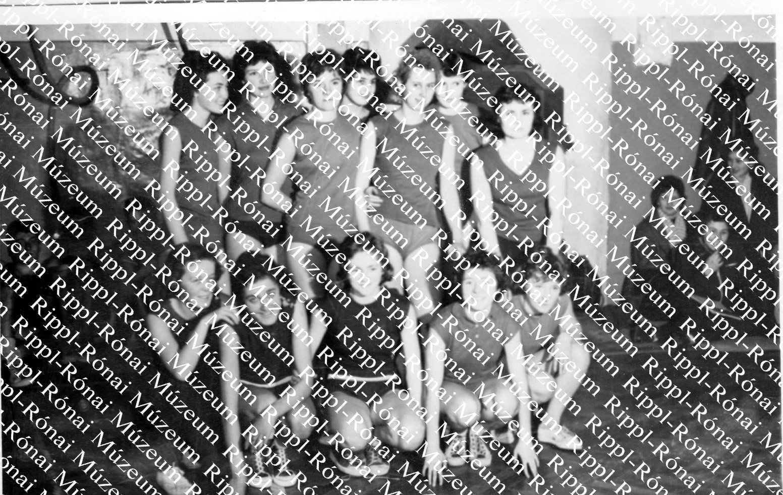 A Munkácsy Nihály Gimnárium röplabda-csapata (Rippl-Rónai Múzeum CC BY-NC-SA)