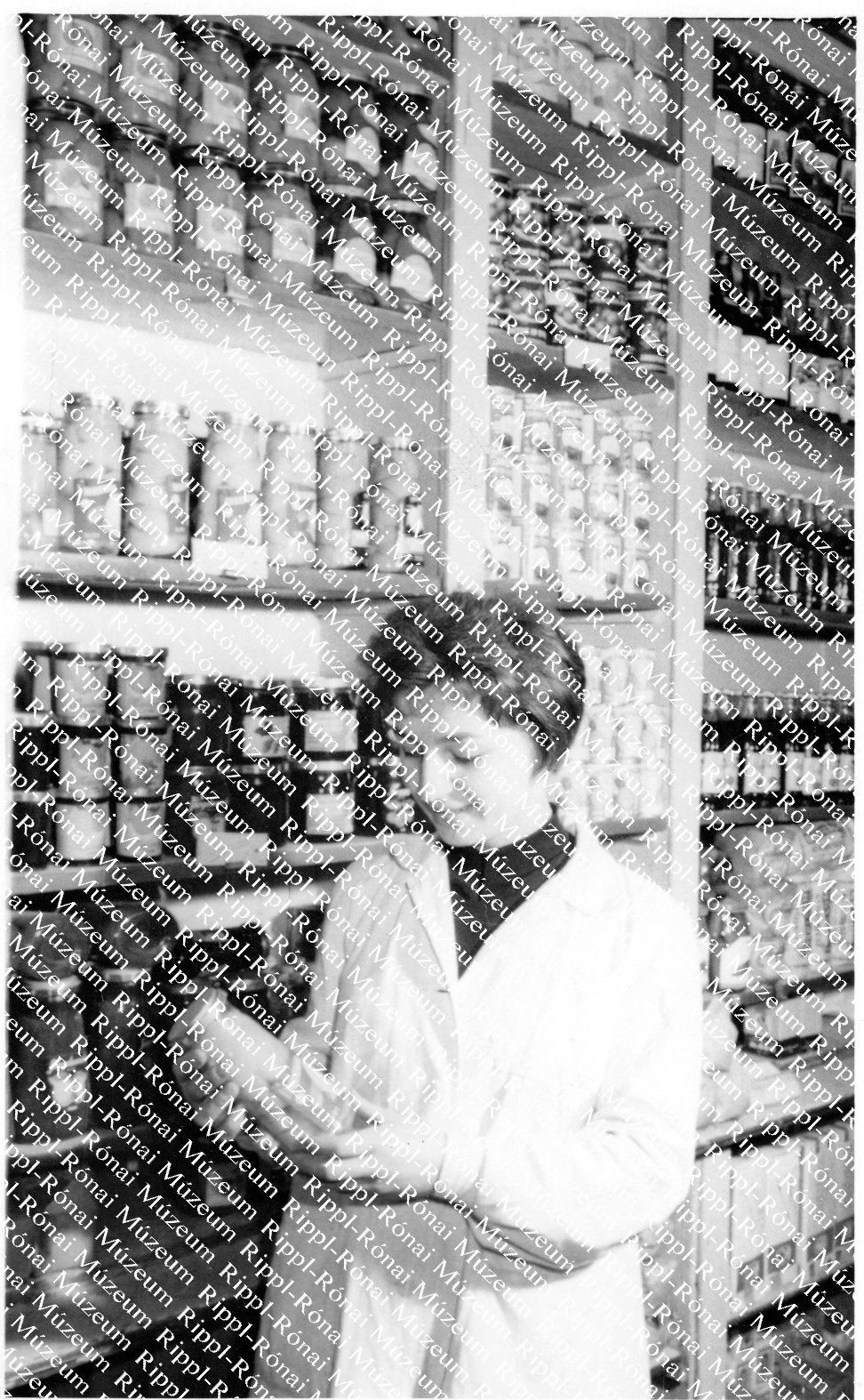 A 323-as sz. Csemege bolt fiatal tanulója (Rippl-Rónai Múzeum CC BY-NC-SA)