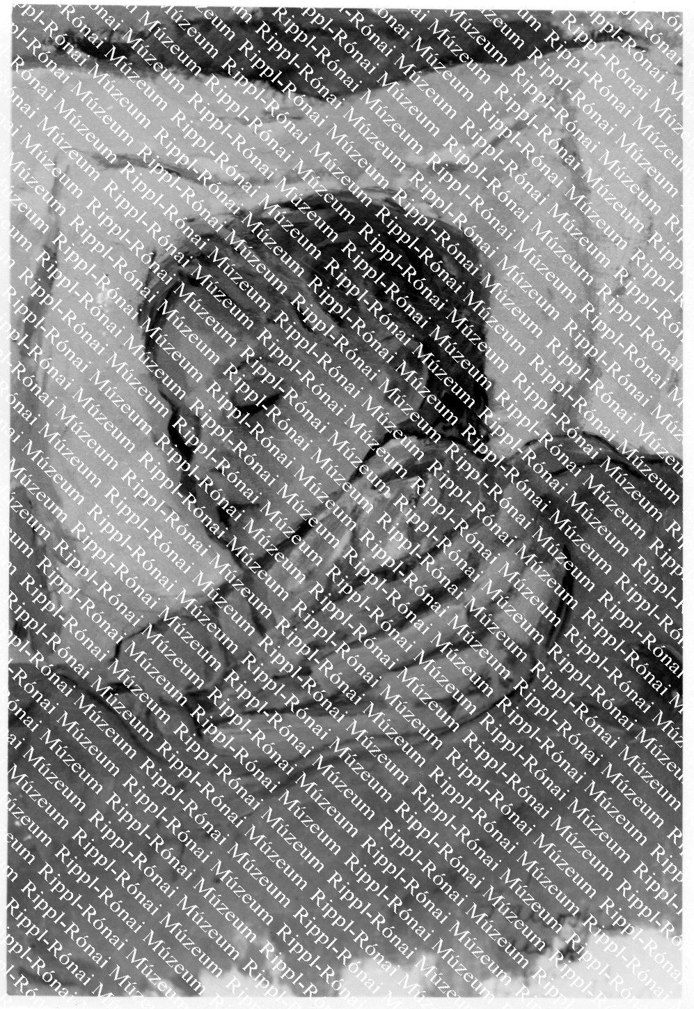 Szilva János: János alszik (Rippl-Rónai Múzeum CC BY-NC-SA)