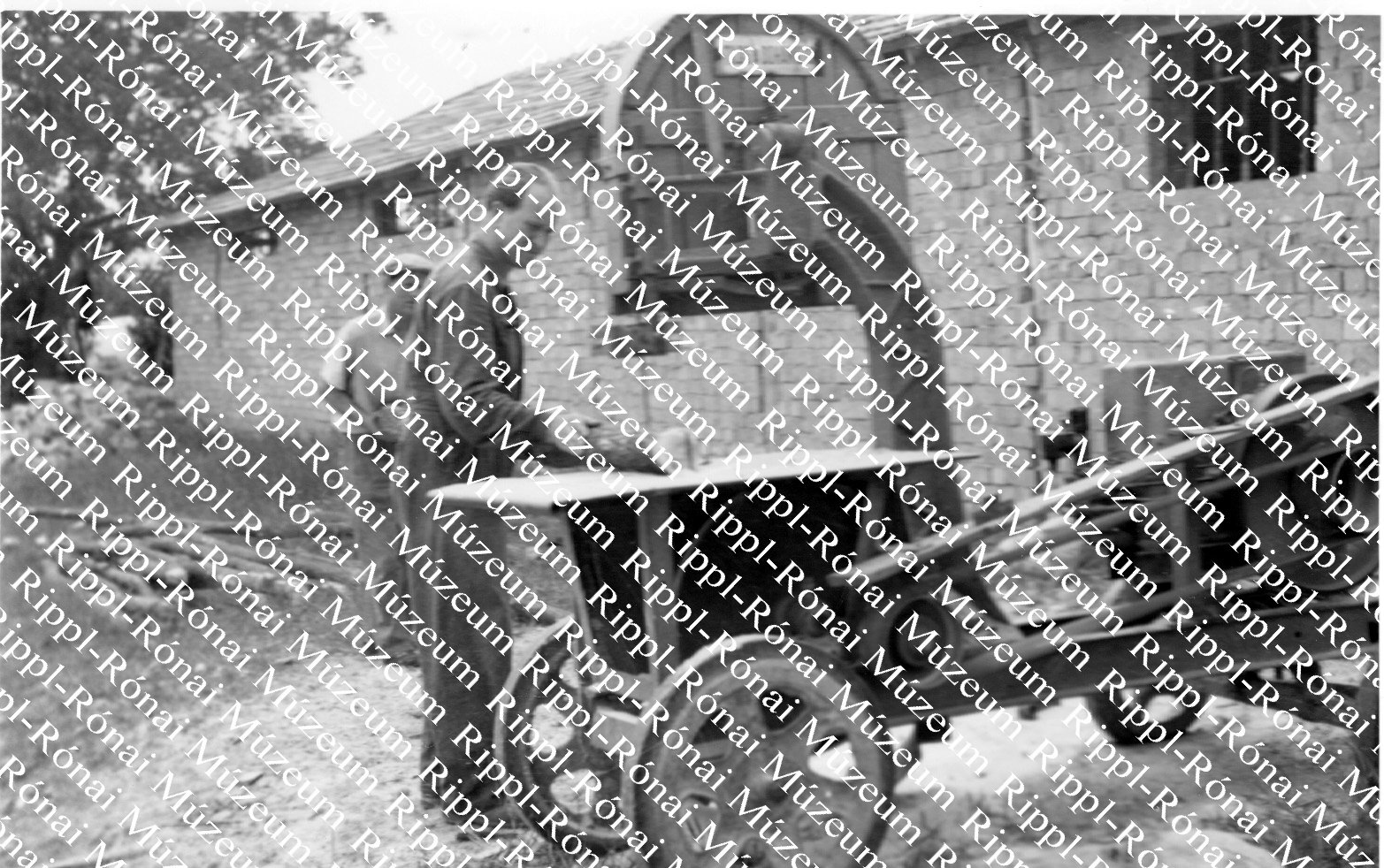 Kányai Alkotmány Tsz. Az épülő lóistálló jászolához készül a faanyag (Rippl-Rónai Múzeum CC BY-NC-SA)